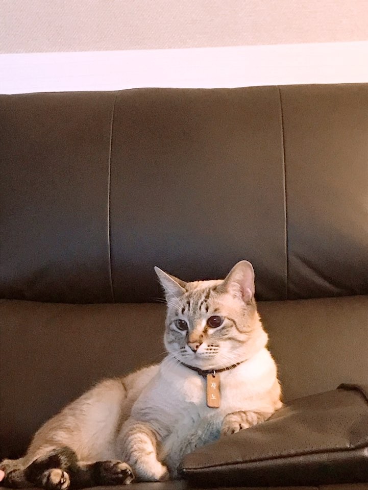 올 해 마지막도 안녕하세요 ,