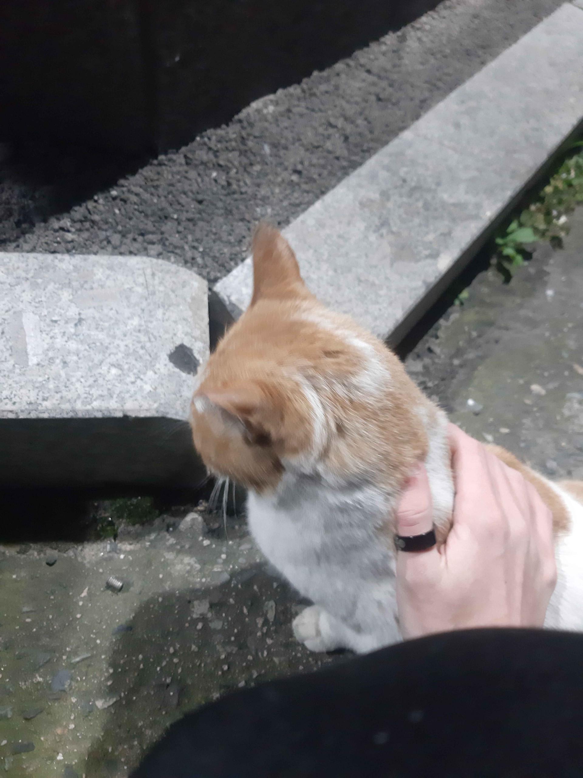 2025년 마지막 미성🩷