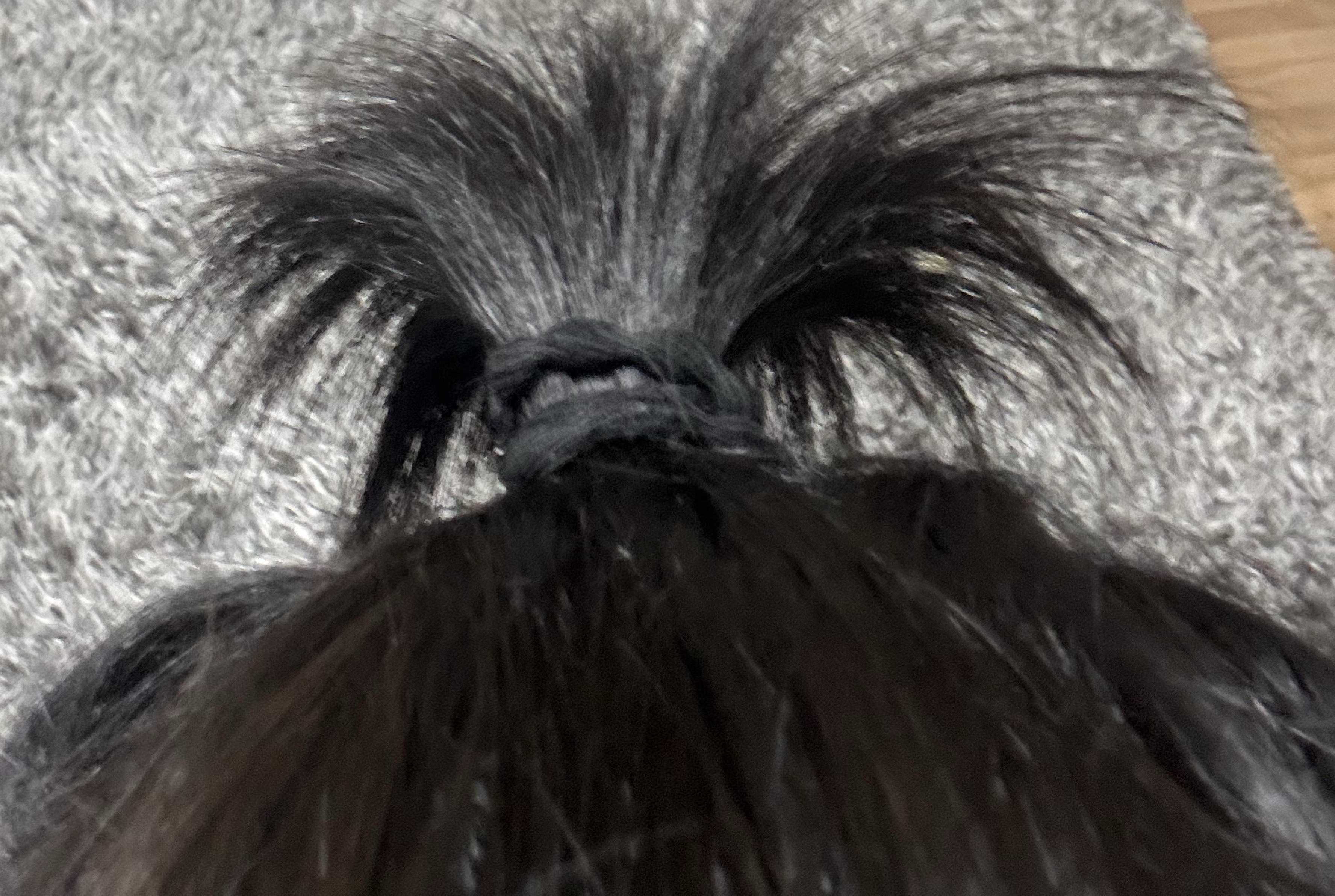 21.  자기 좋은 방