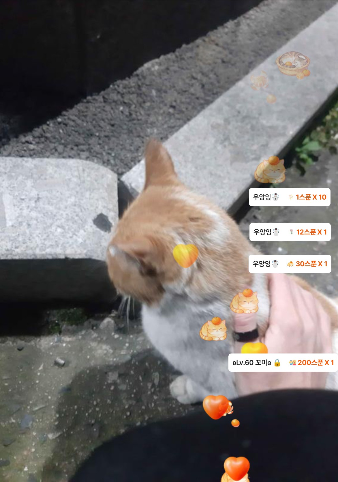 2025년 마지막 미성🩷