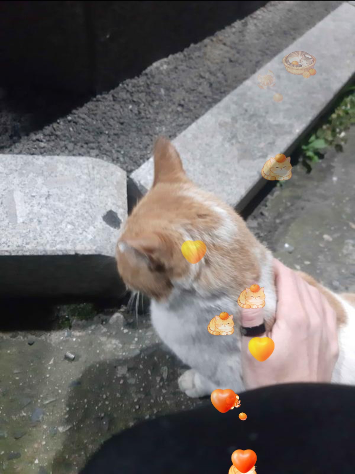 2025년 마지막 미성🩷