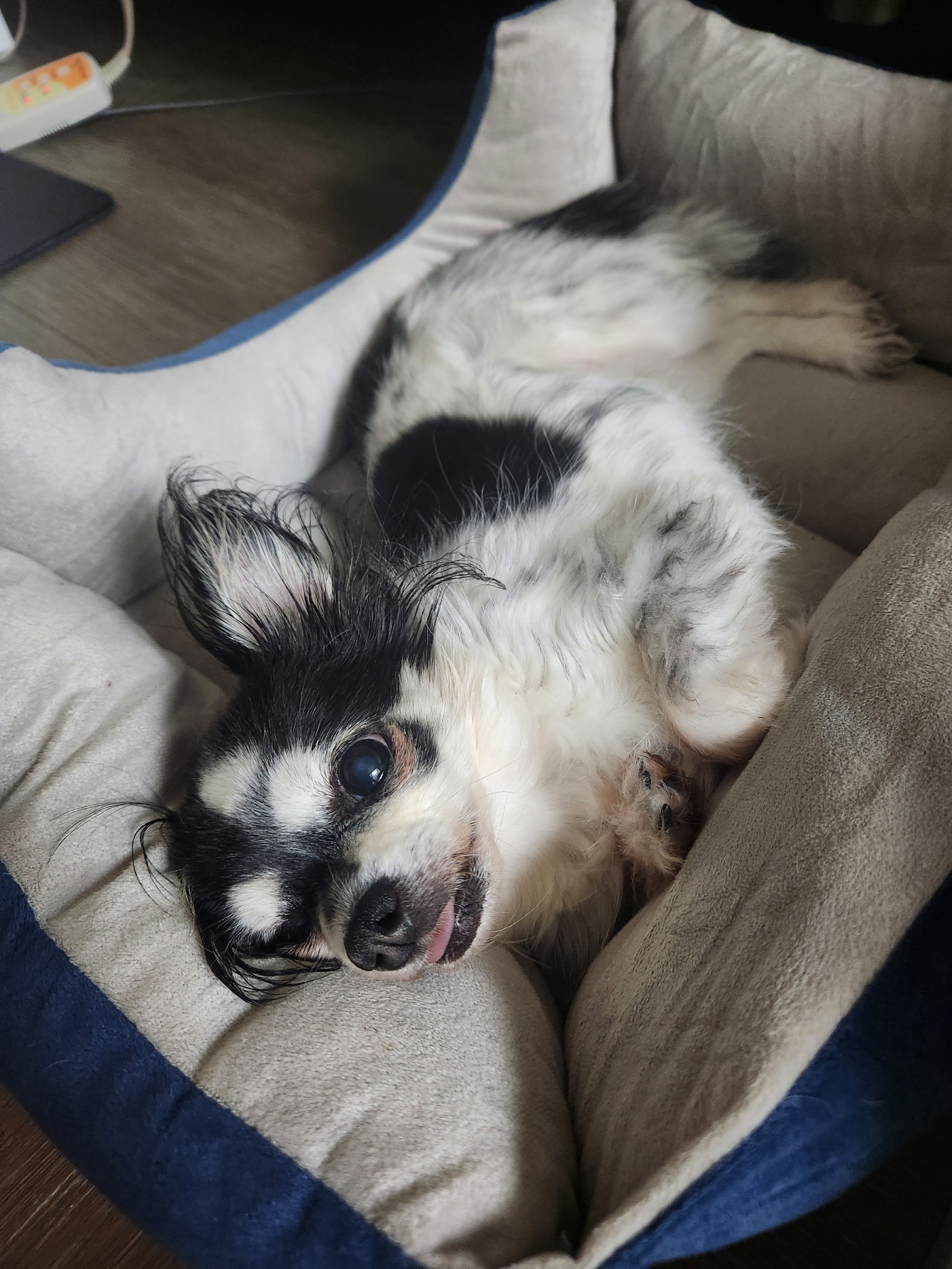 30+ 사람이 좋아 머무는💜