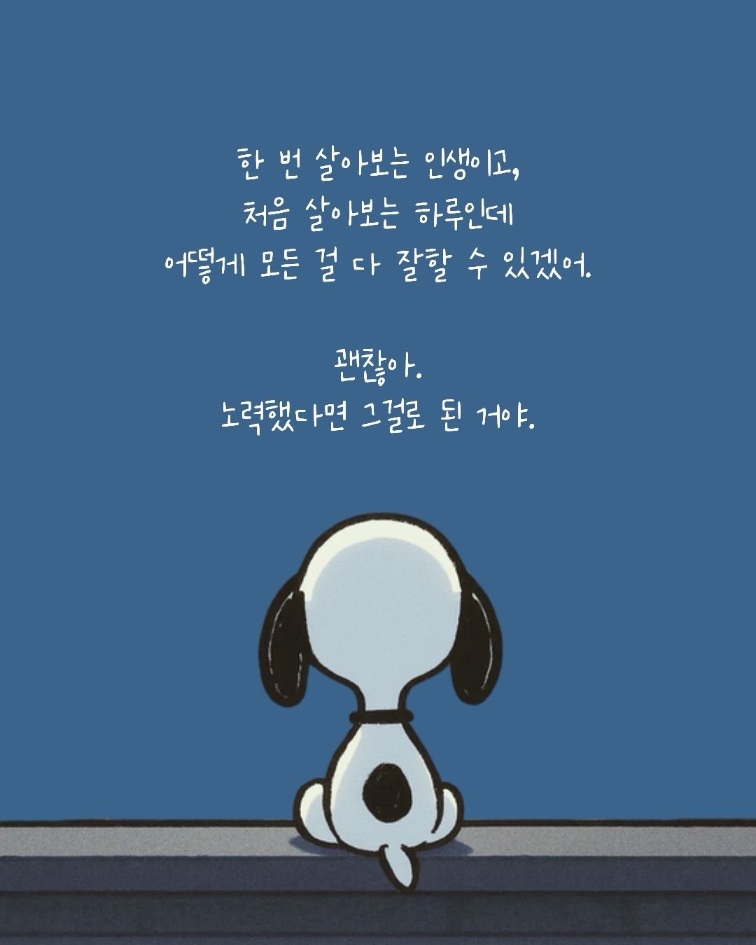 신입) 야외방송 (DJ배달중)