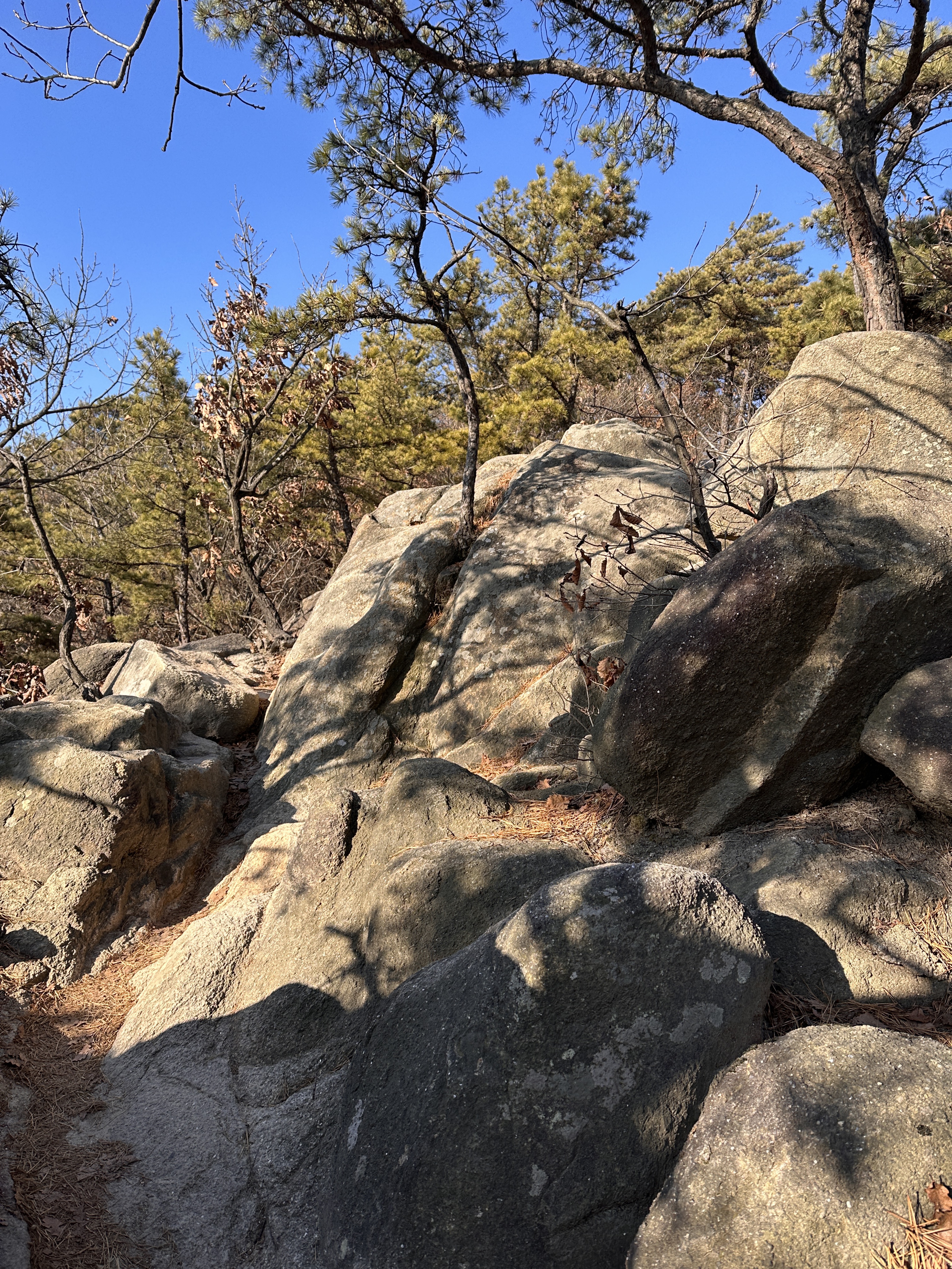 새해 맞이 등산