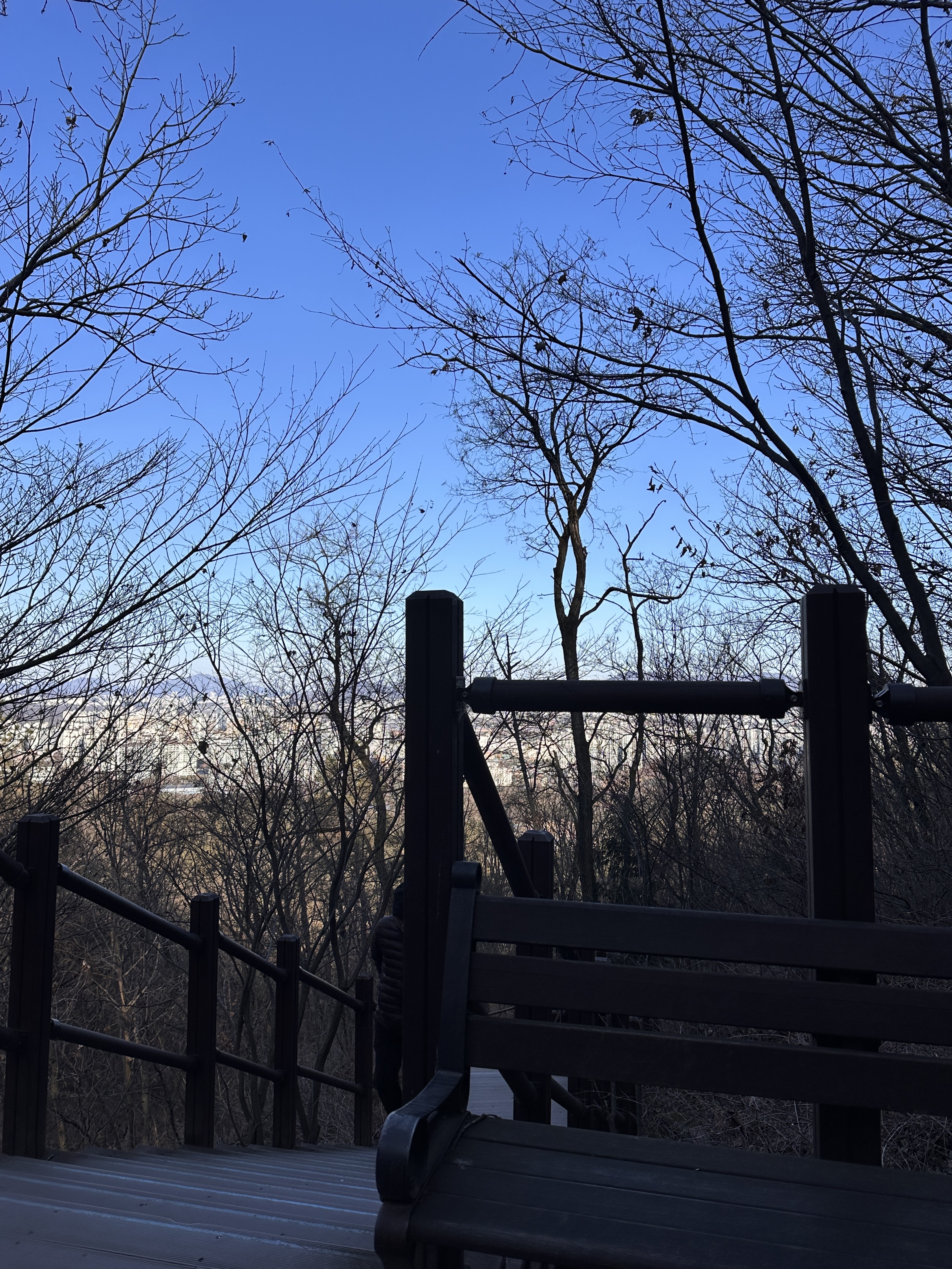 새해 맞이 등산