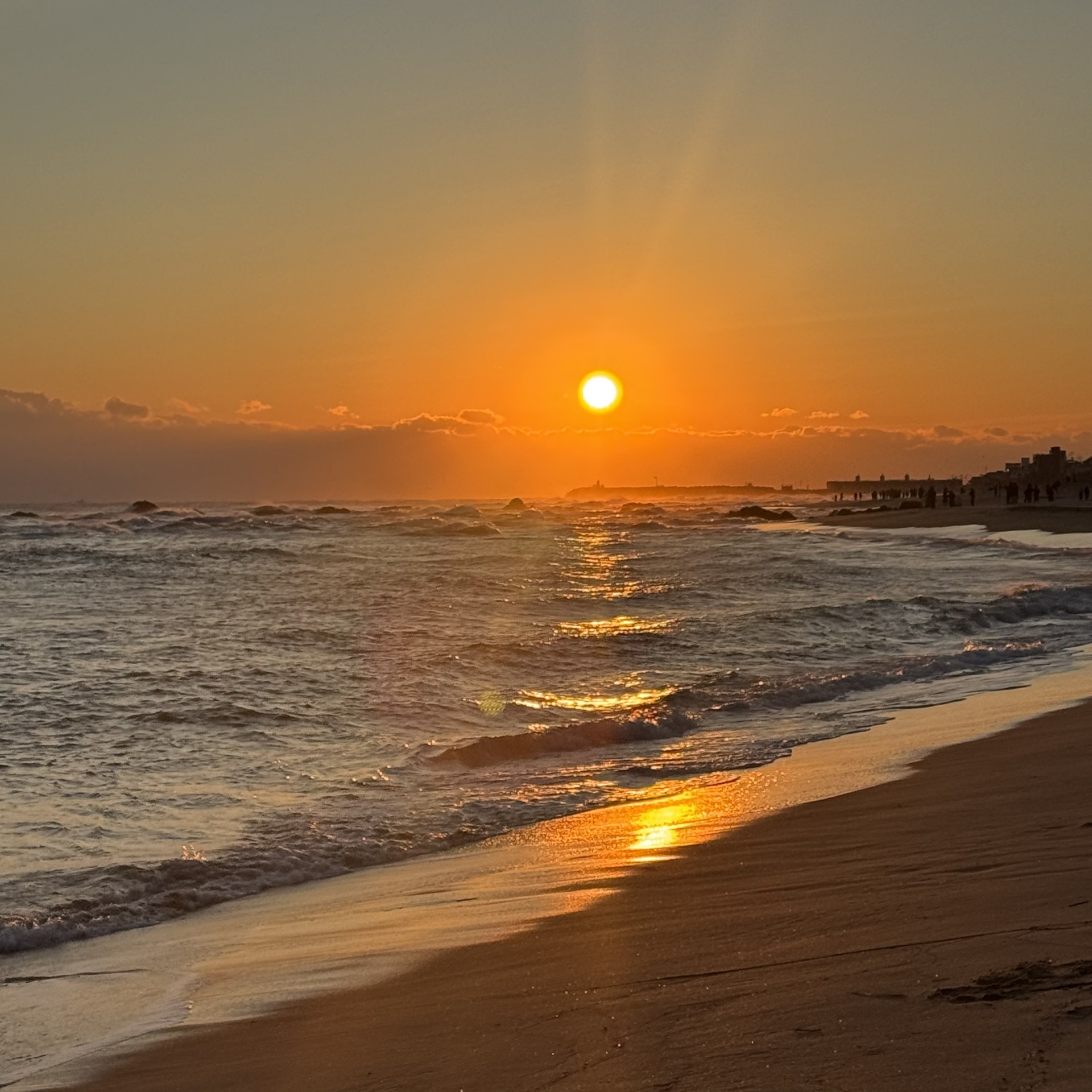 브런치 시금치☕