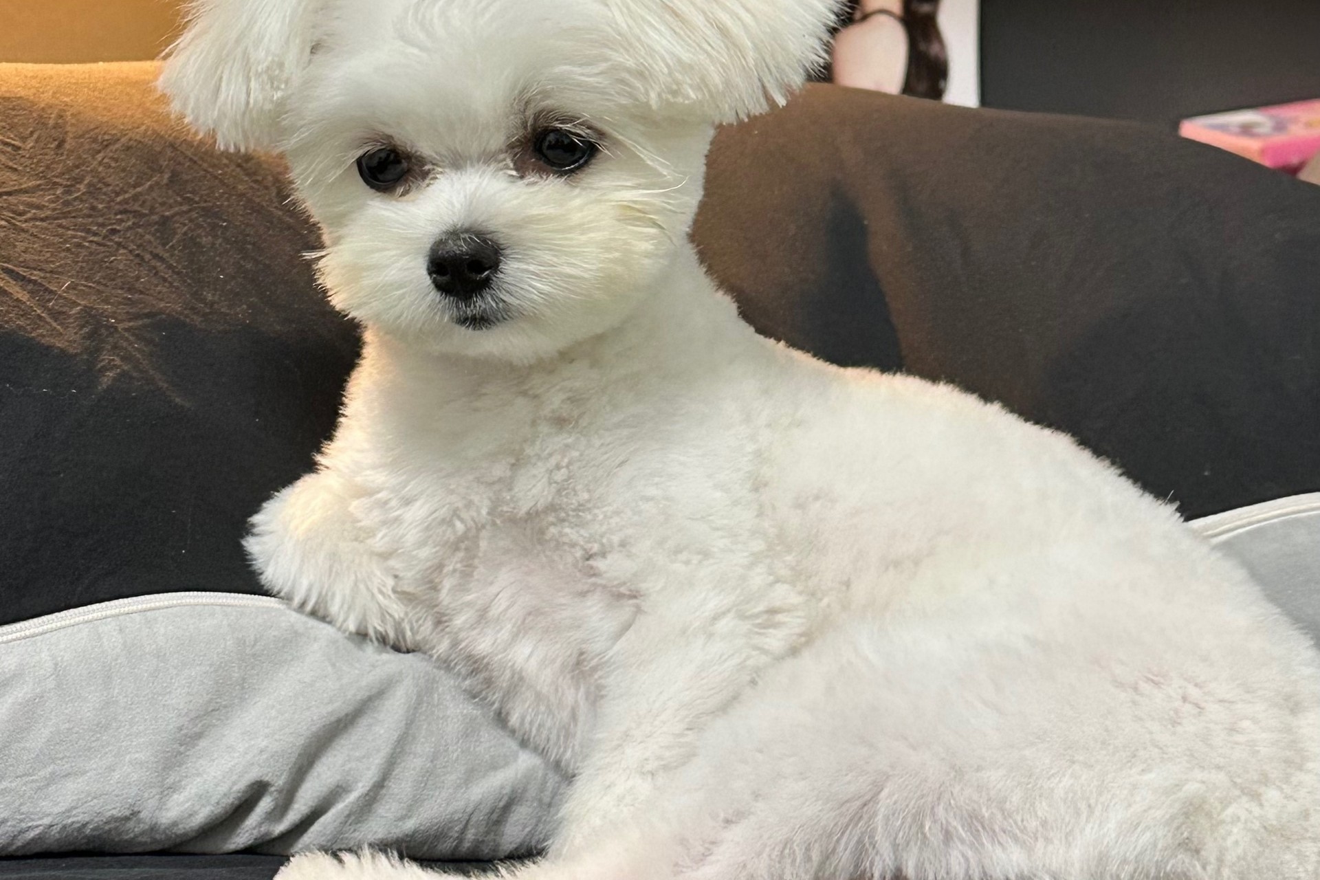 감사합니다 오늘 1시 ㅎ