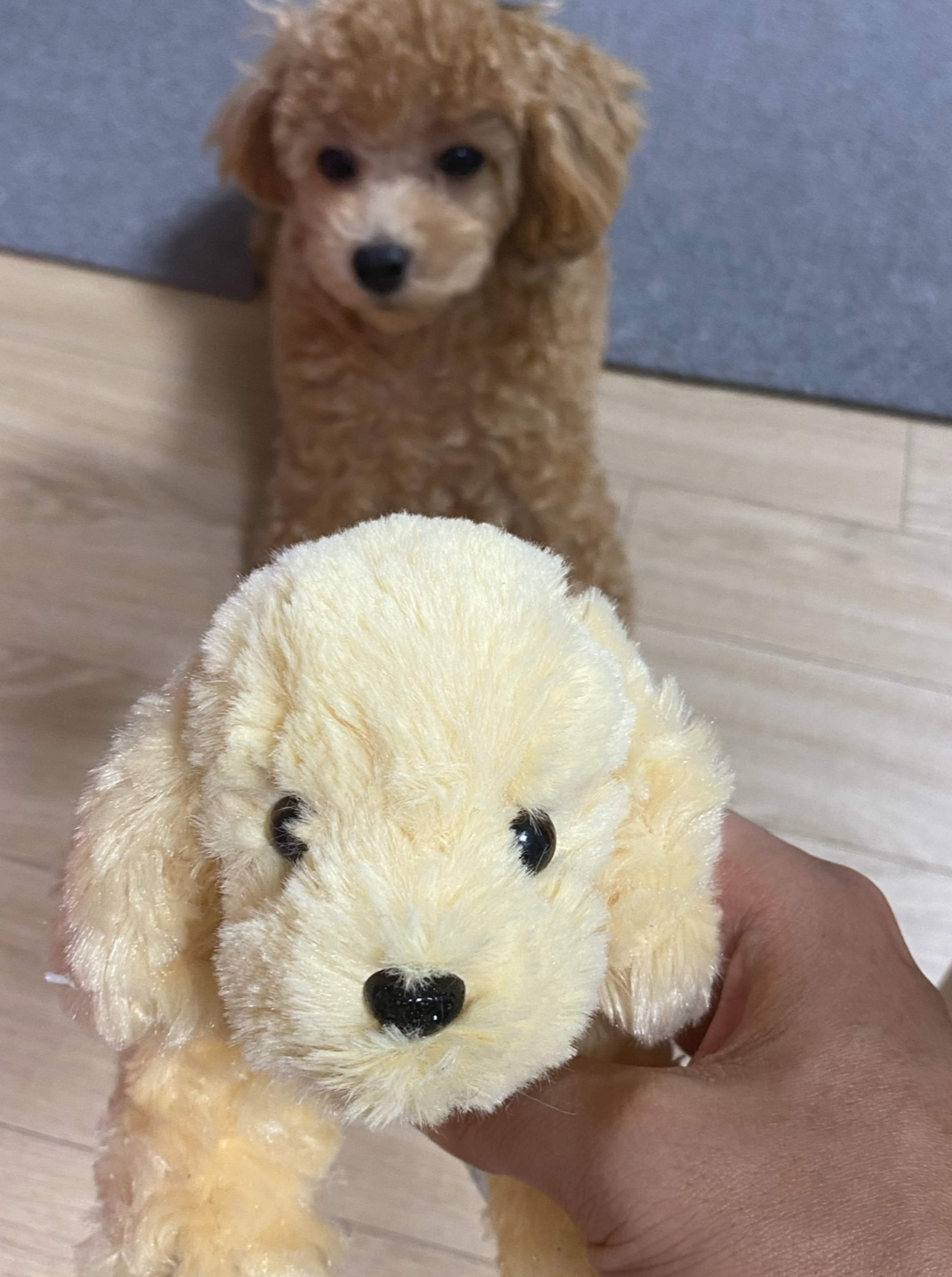 신입 1일차 들어와주세요 33시간째