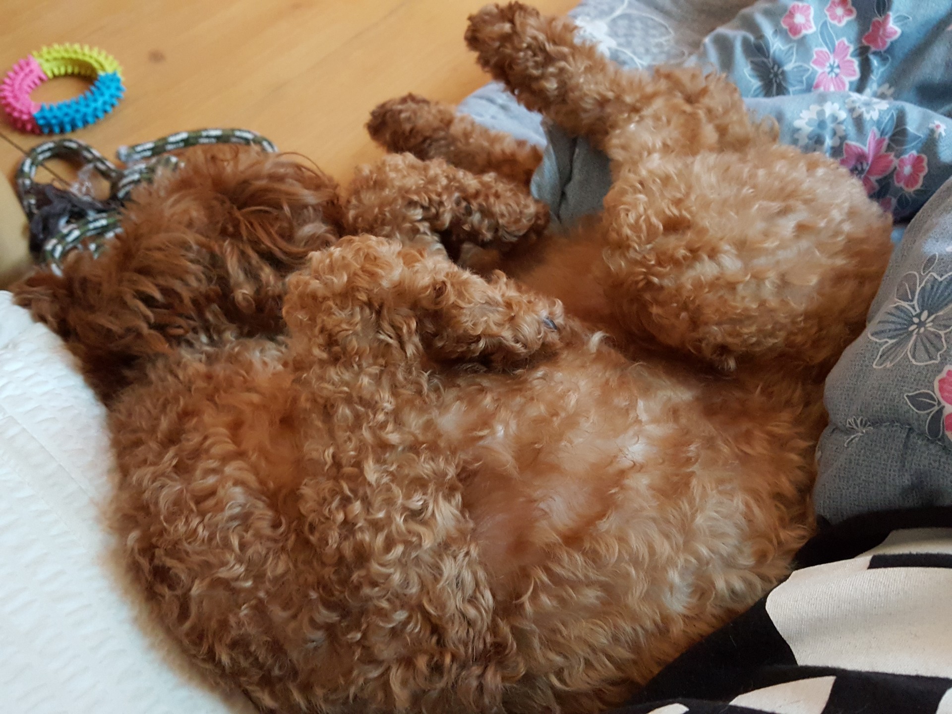 30+ 사람이 좋아 머무는💜