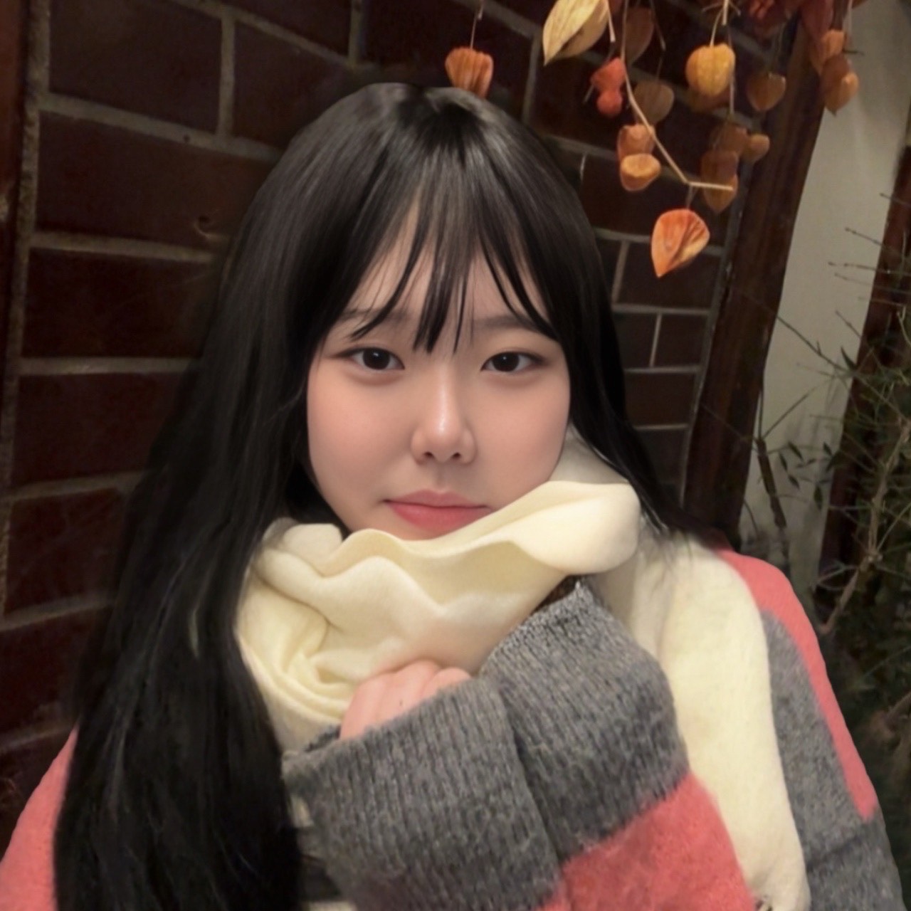 안오셔도 됩니다 ,