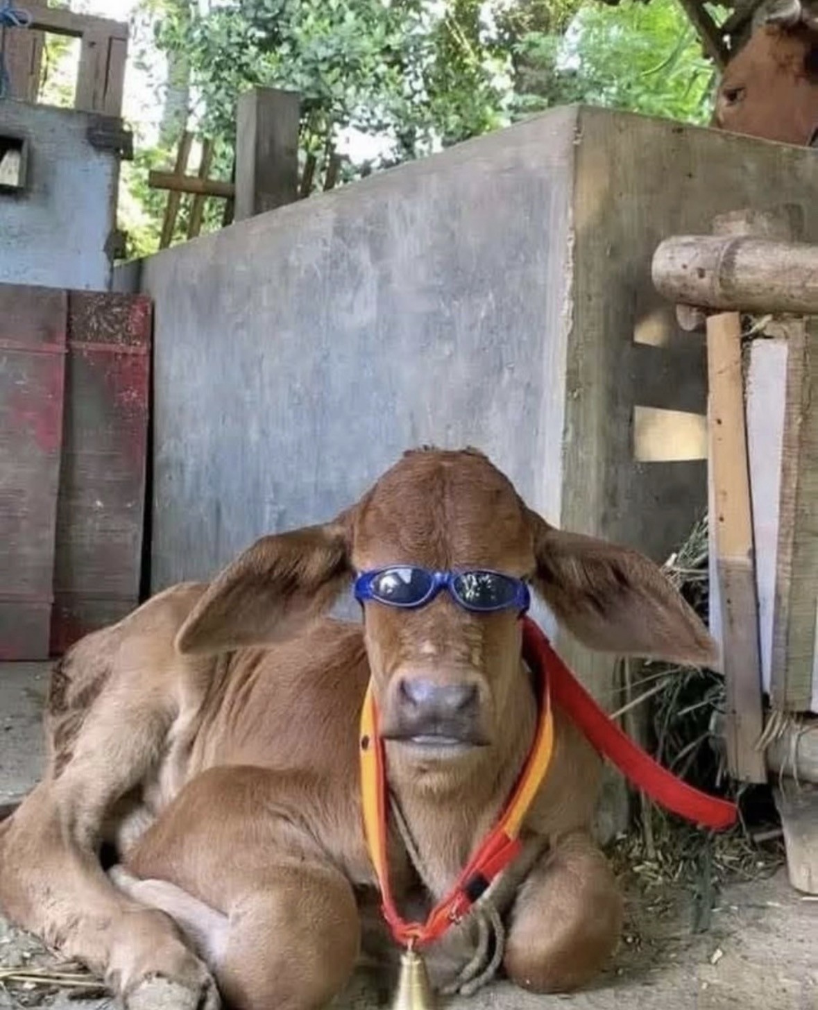 브런치 시금치☕