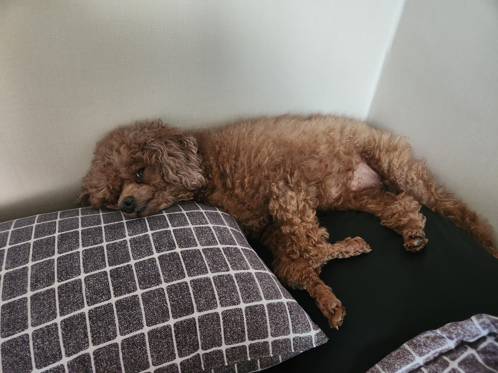 30+ 사람이 좋아 머무는💜