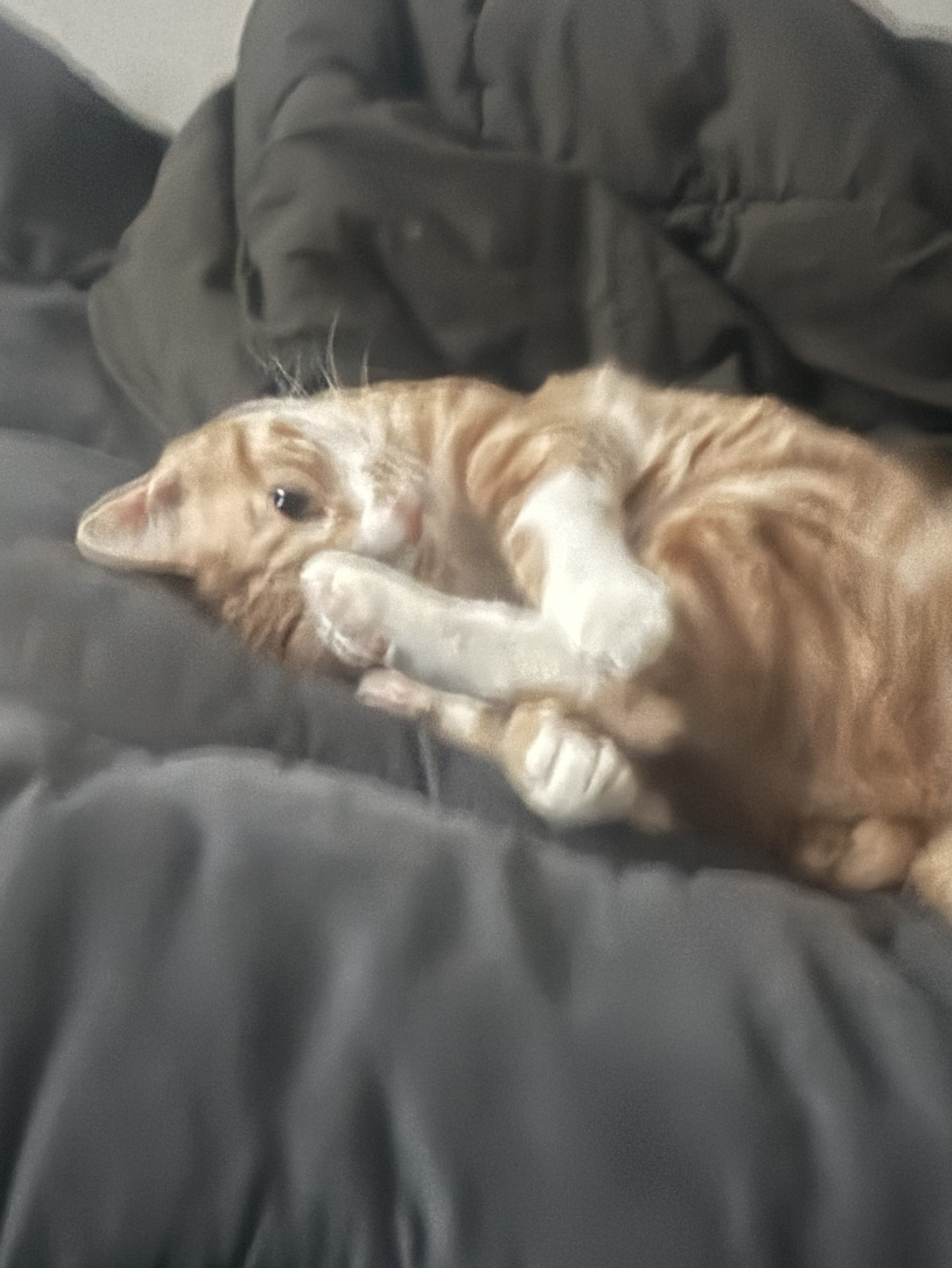 25.  크게 해주세요