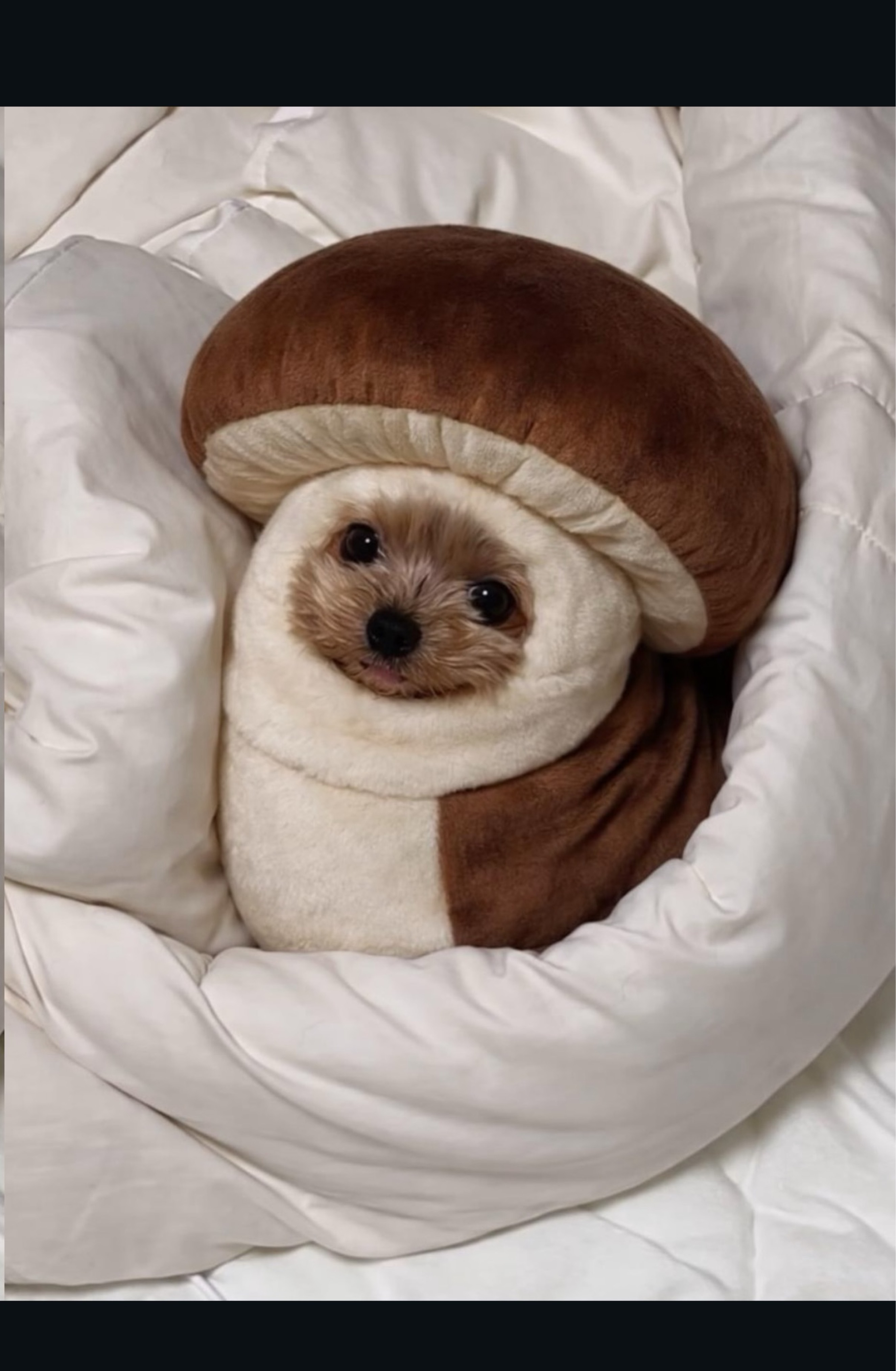 —-개운_____ㅎㅎ..