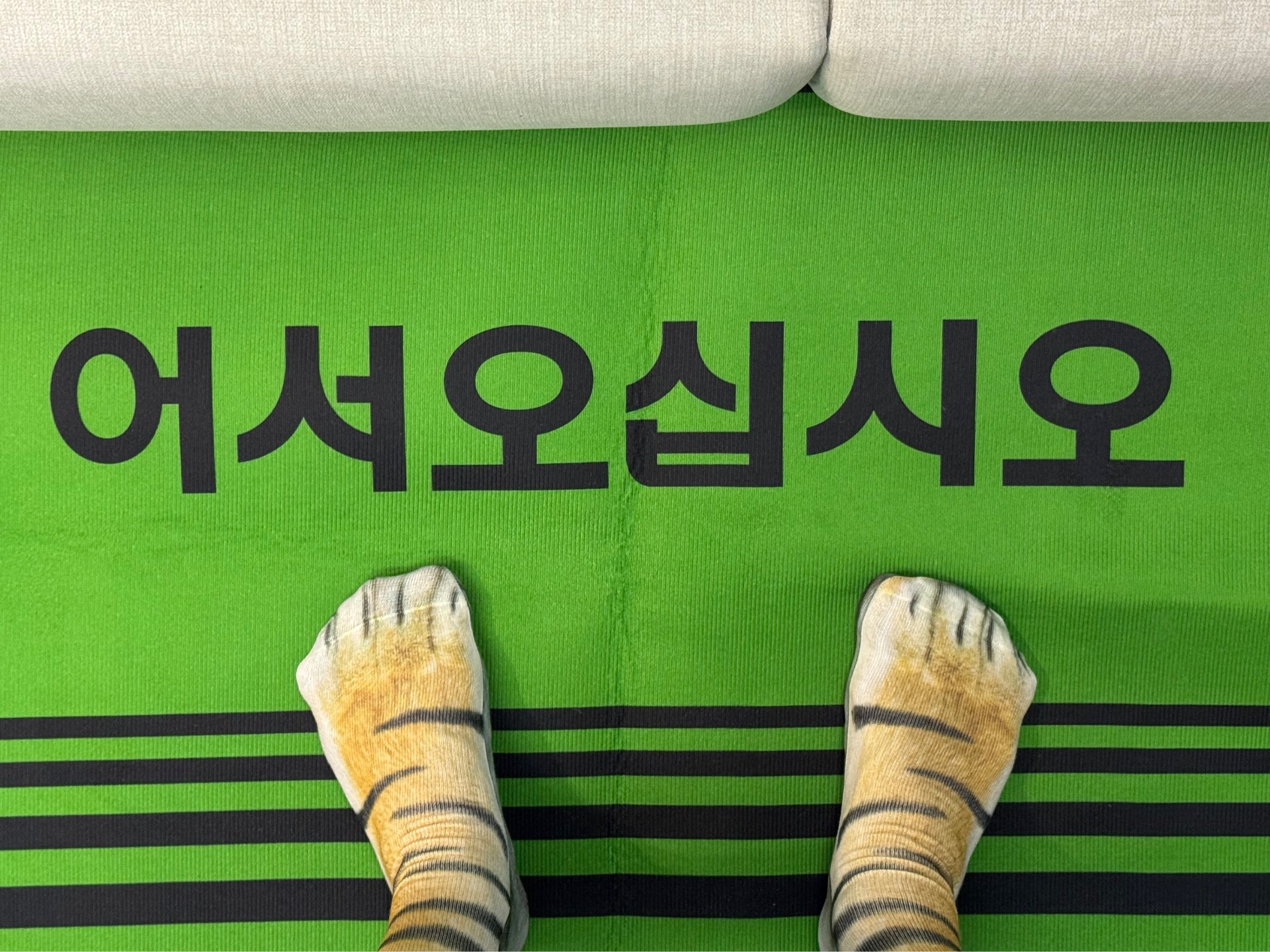 귀여운 여자의 앙 - ♡