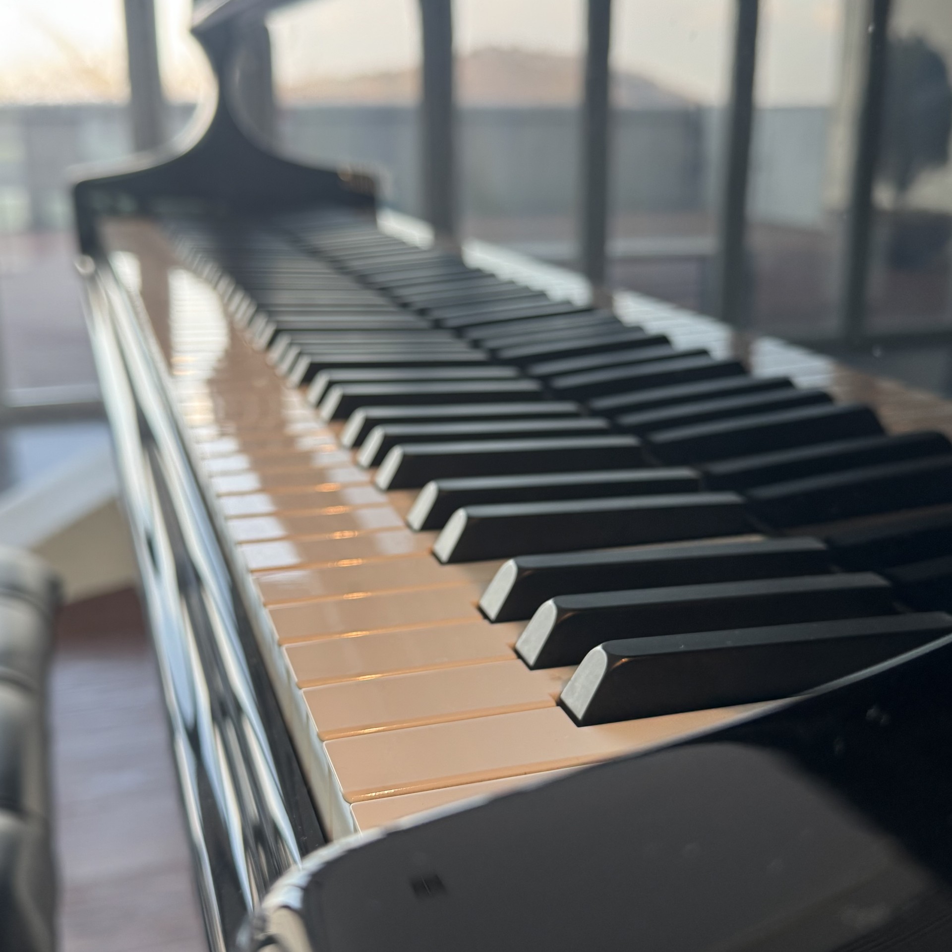 스르르 잠드는 시금치 Pli🎶