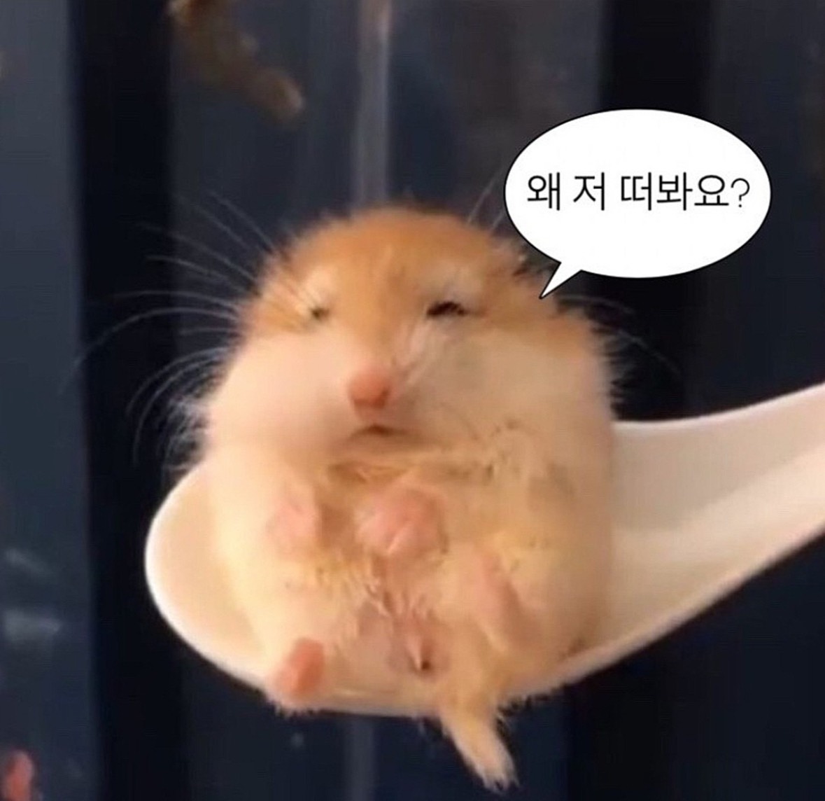 심심하구만..!