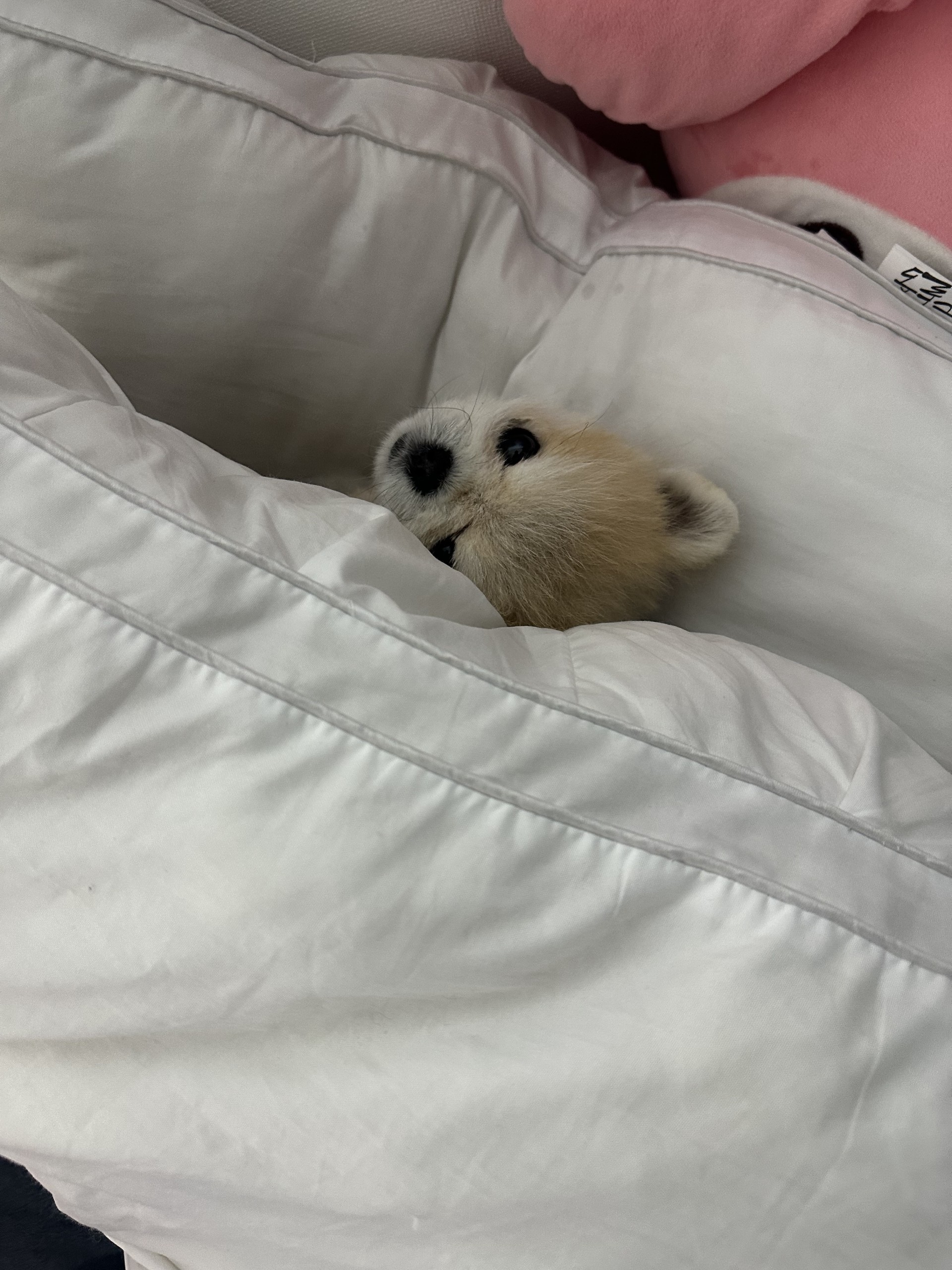 # 6시30분에만나요~!담좌예수렉스