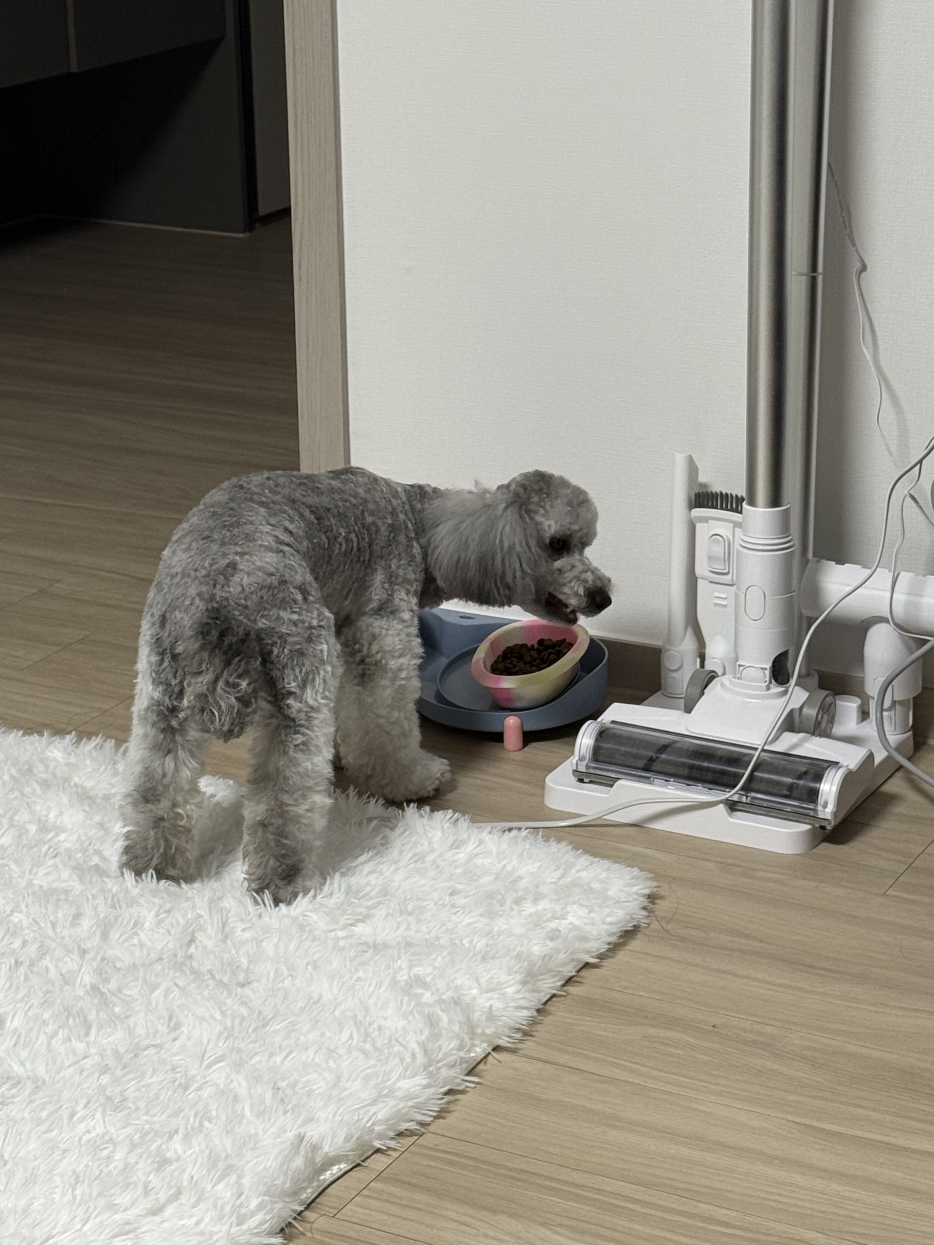 # 담좌 아이디 ㄱㄱ