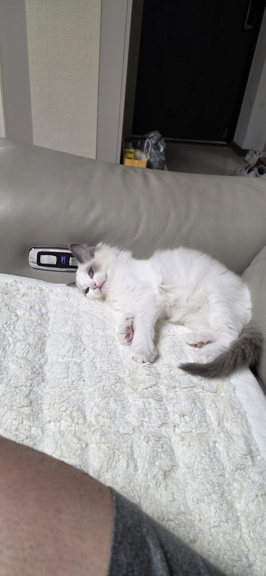 마감 감사합니다