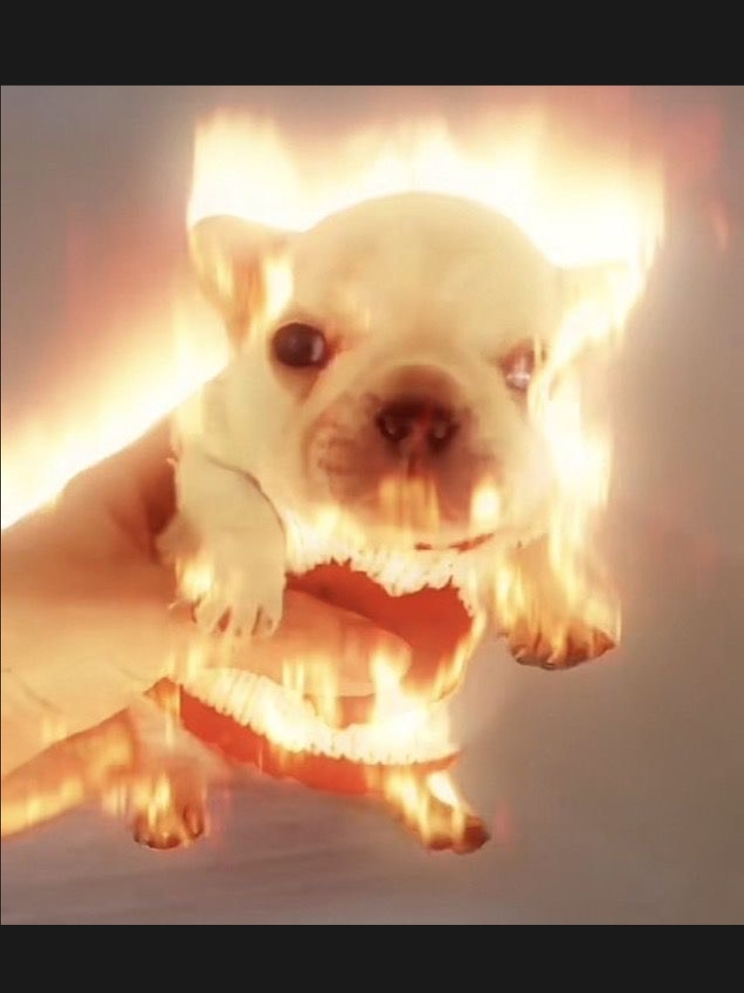 재미없는 dj 성대모사중!