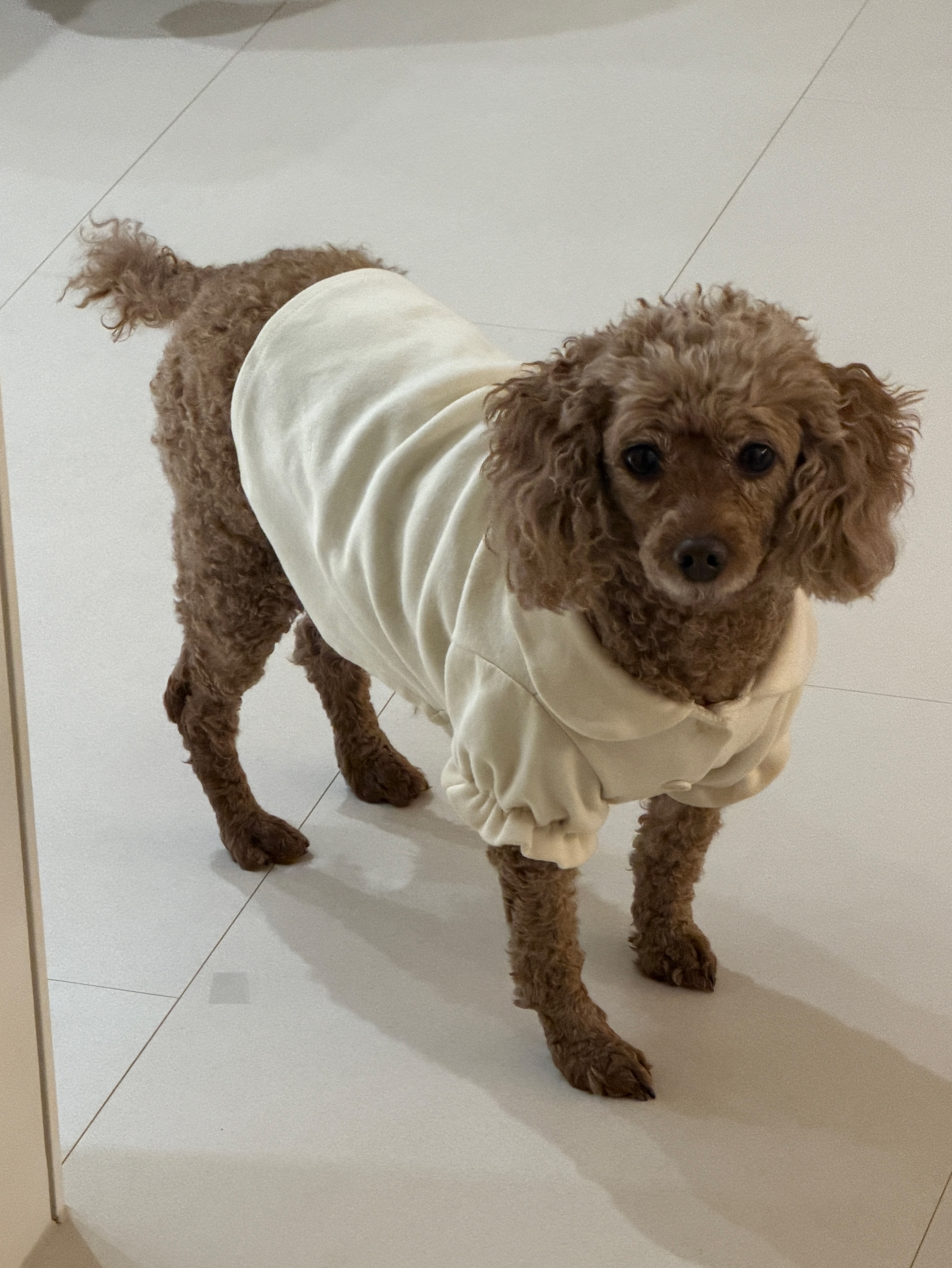 점 임자 있어요