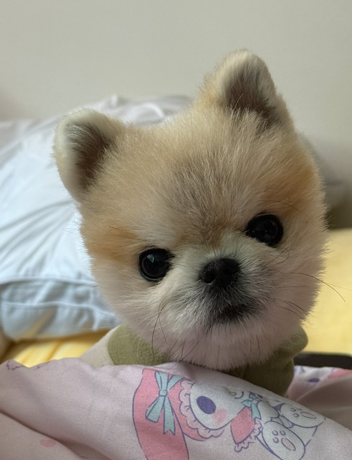 # 6시30부네만나욤 담좌예수렉스