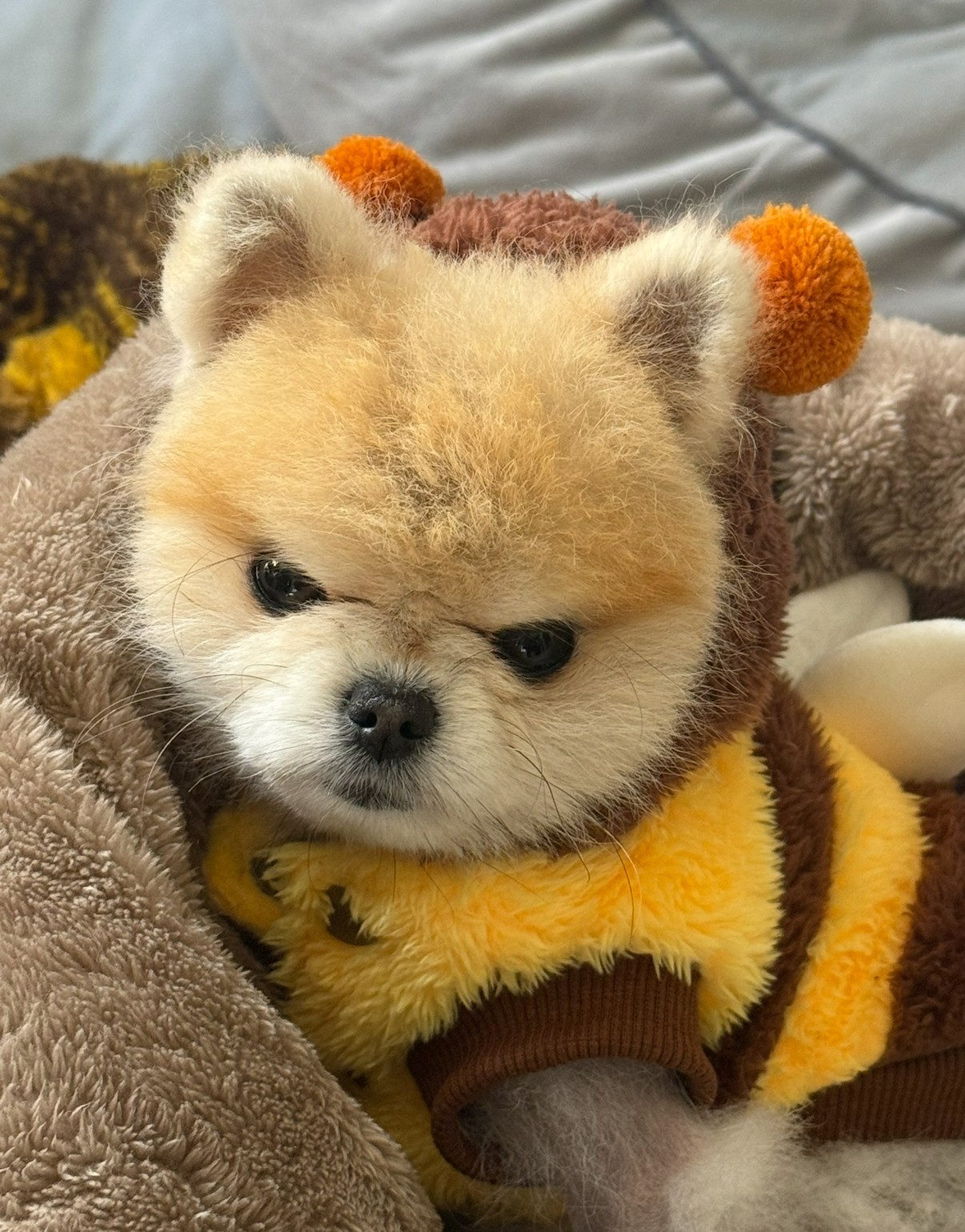 # 오늘도감사합니다~  담좌진로