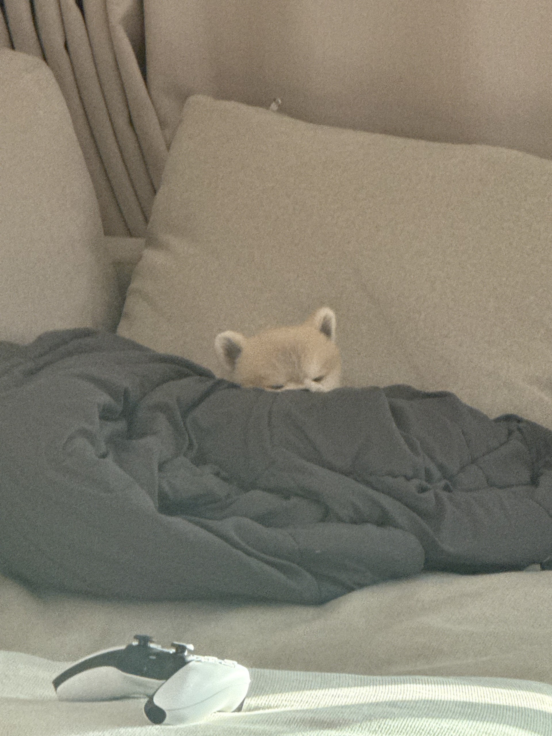 # 6시30분에만나요~! 담좌예수렉스