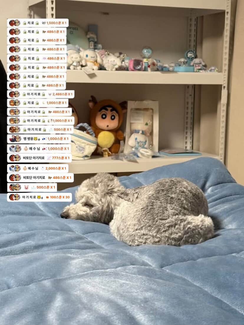 # 소개팅마감 감삼둥