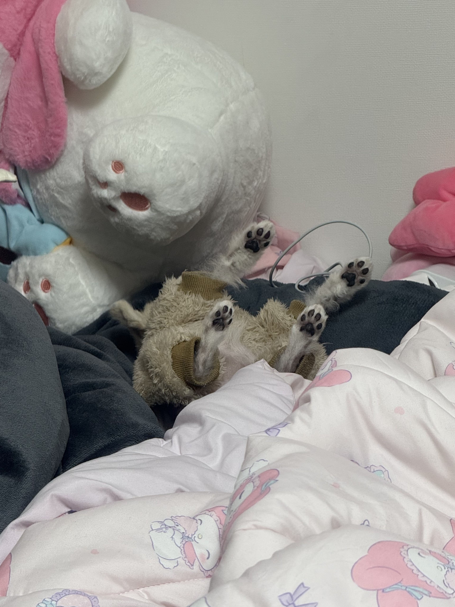 # 오늘도감사합니다~! 담좌카지노