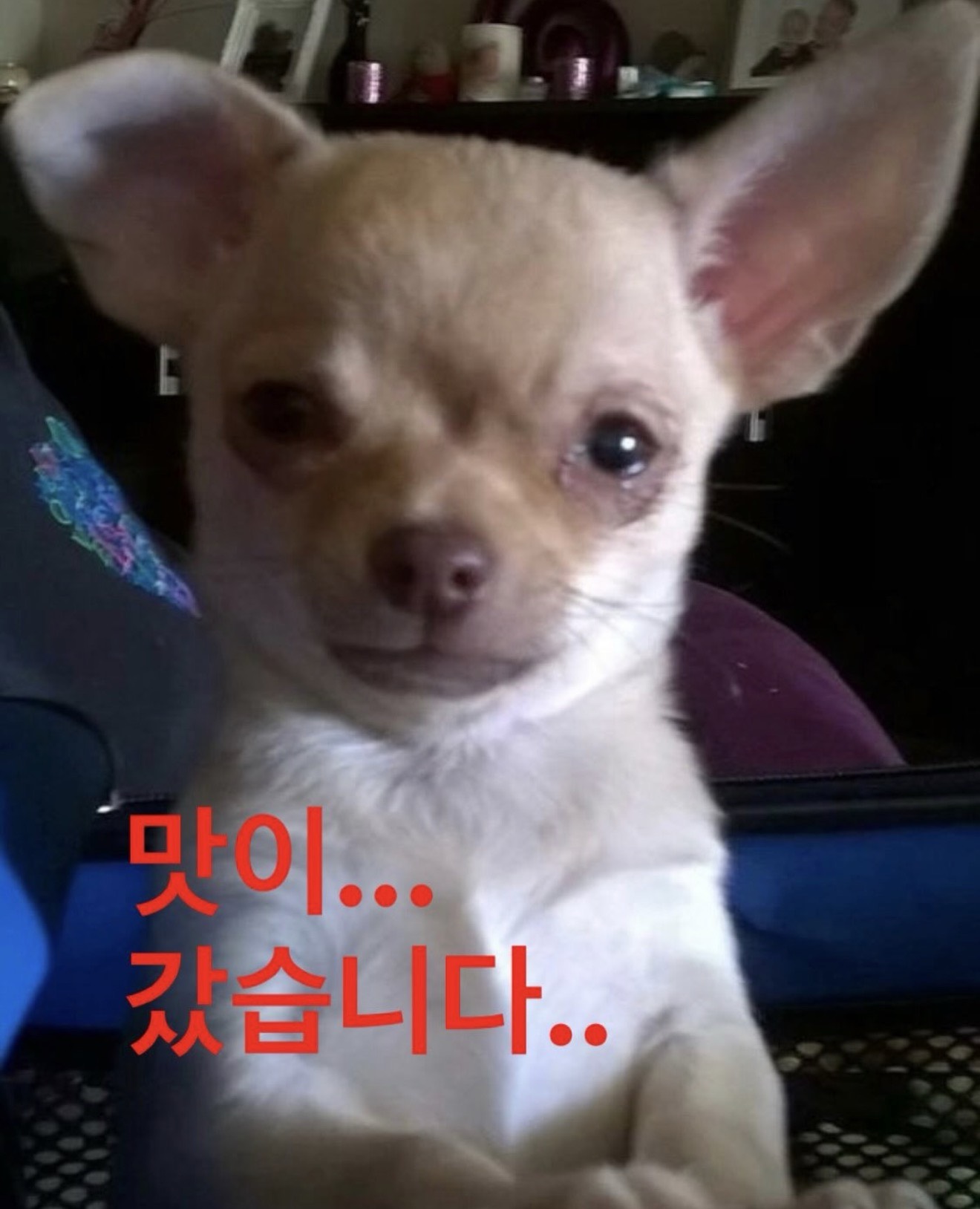 다들 머하는데!!!!!!!