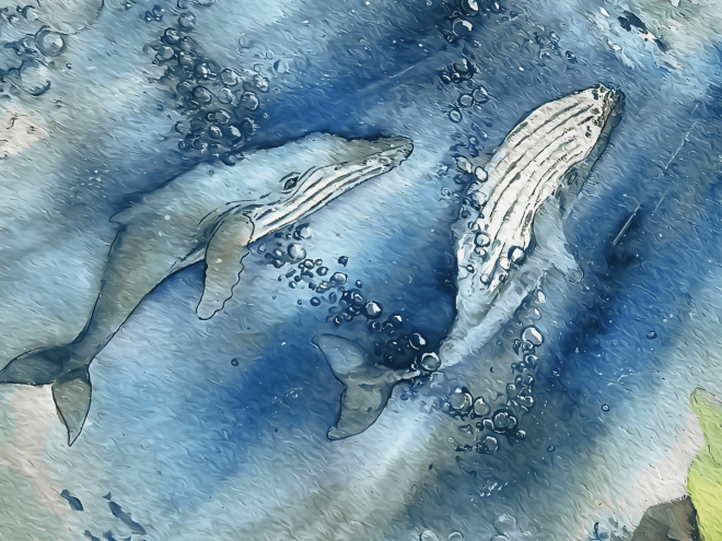 눈 마주쳤으면 와요 :) 쉬고 가셔요