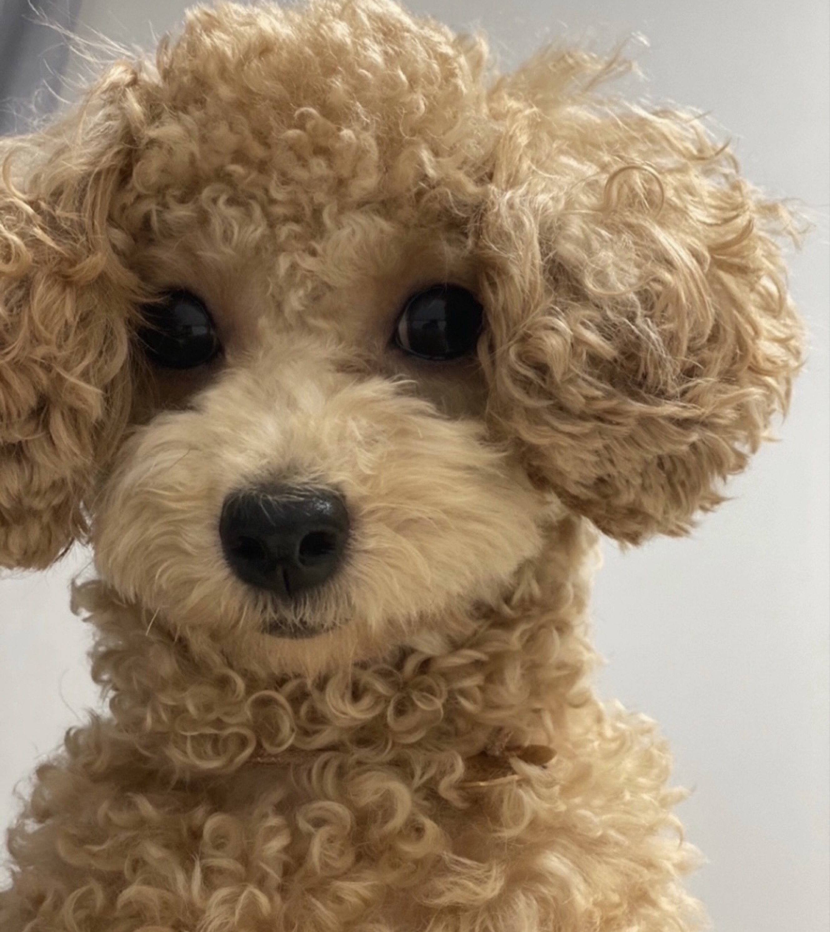 편안하게오세요~😊