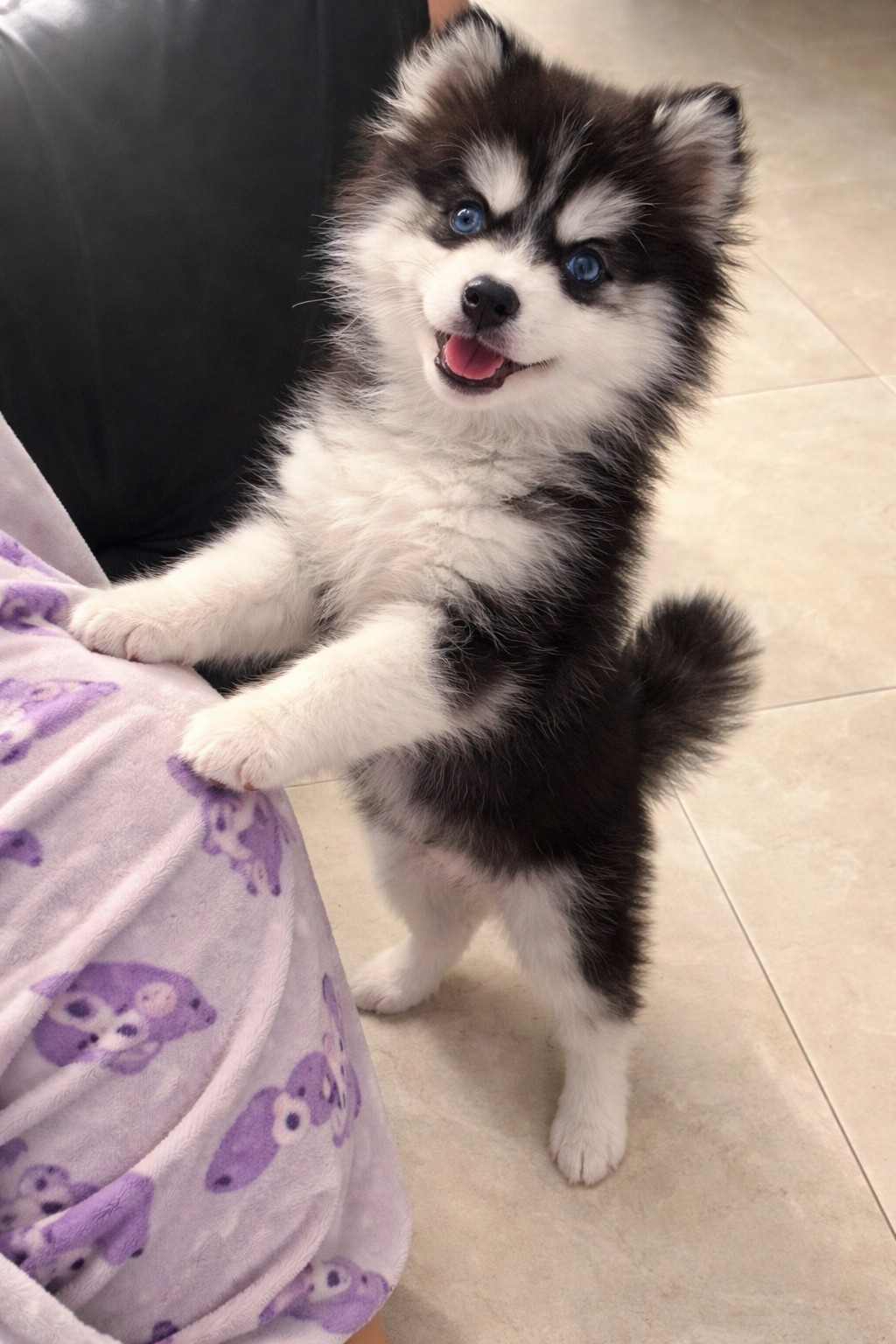 # 마감 담좌 송루피 오프 ㄱㄱ