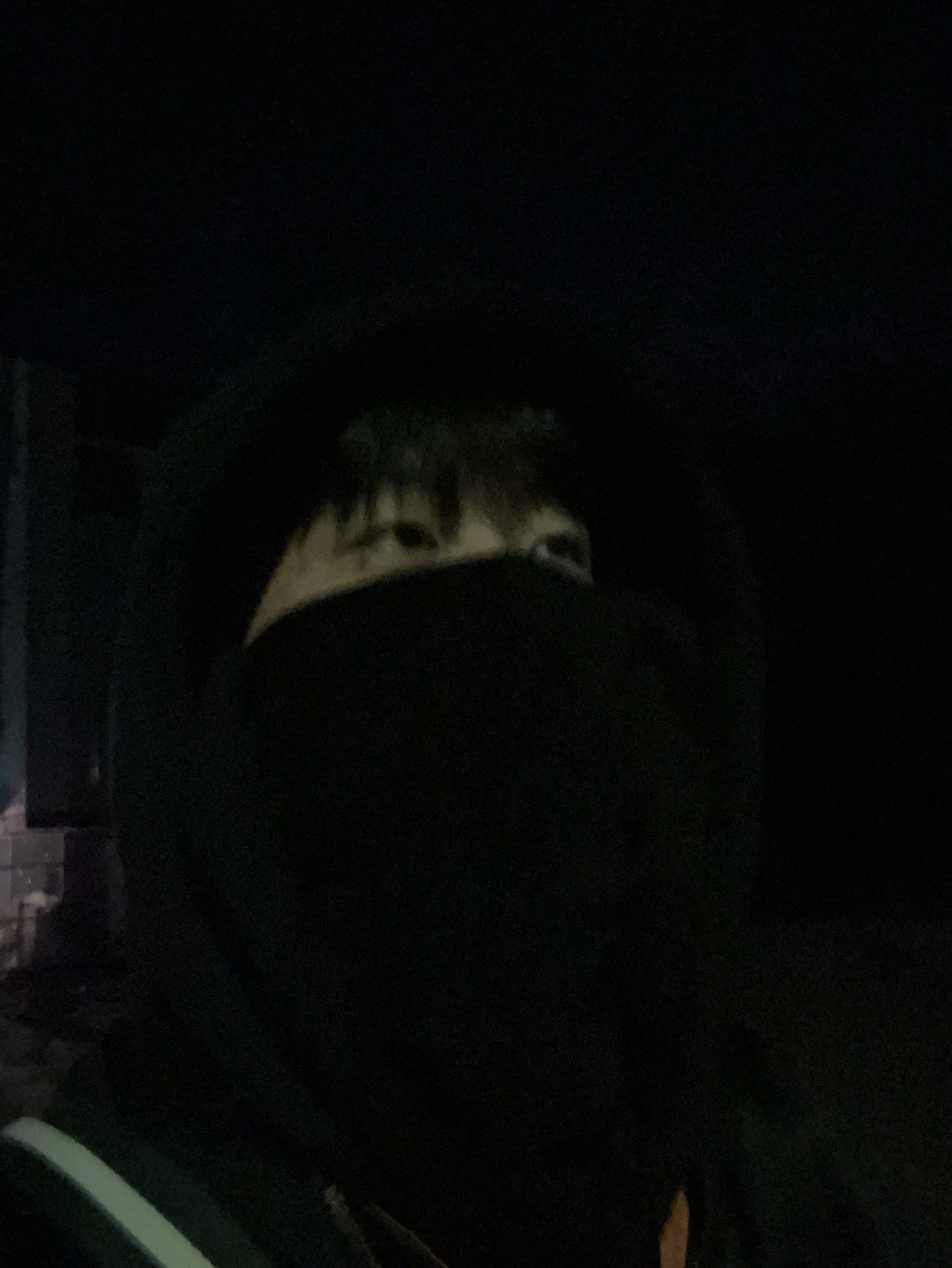 뭐하냐 와서 안 자고; 잠방