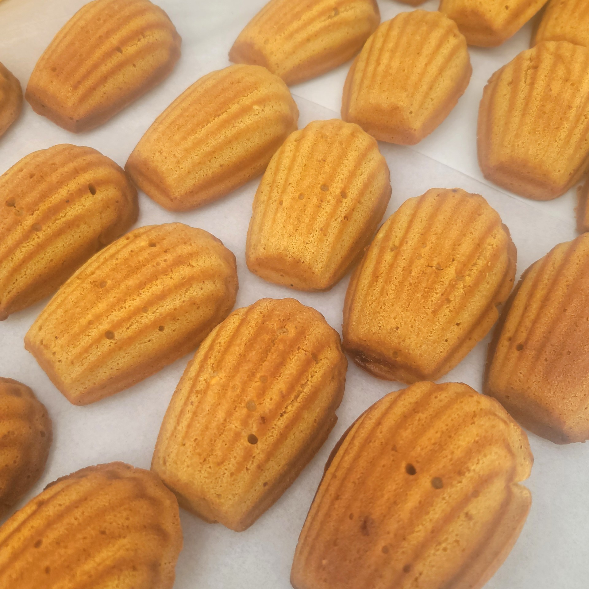 좋아할수밖에 ㅡ!