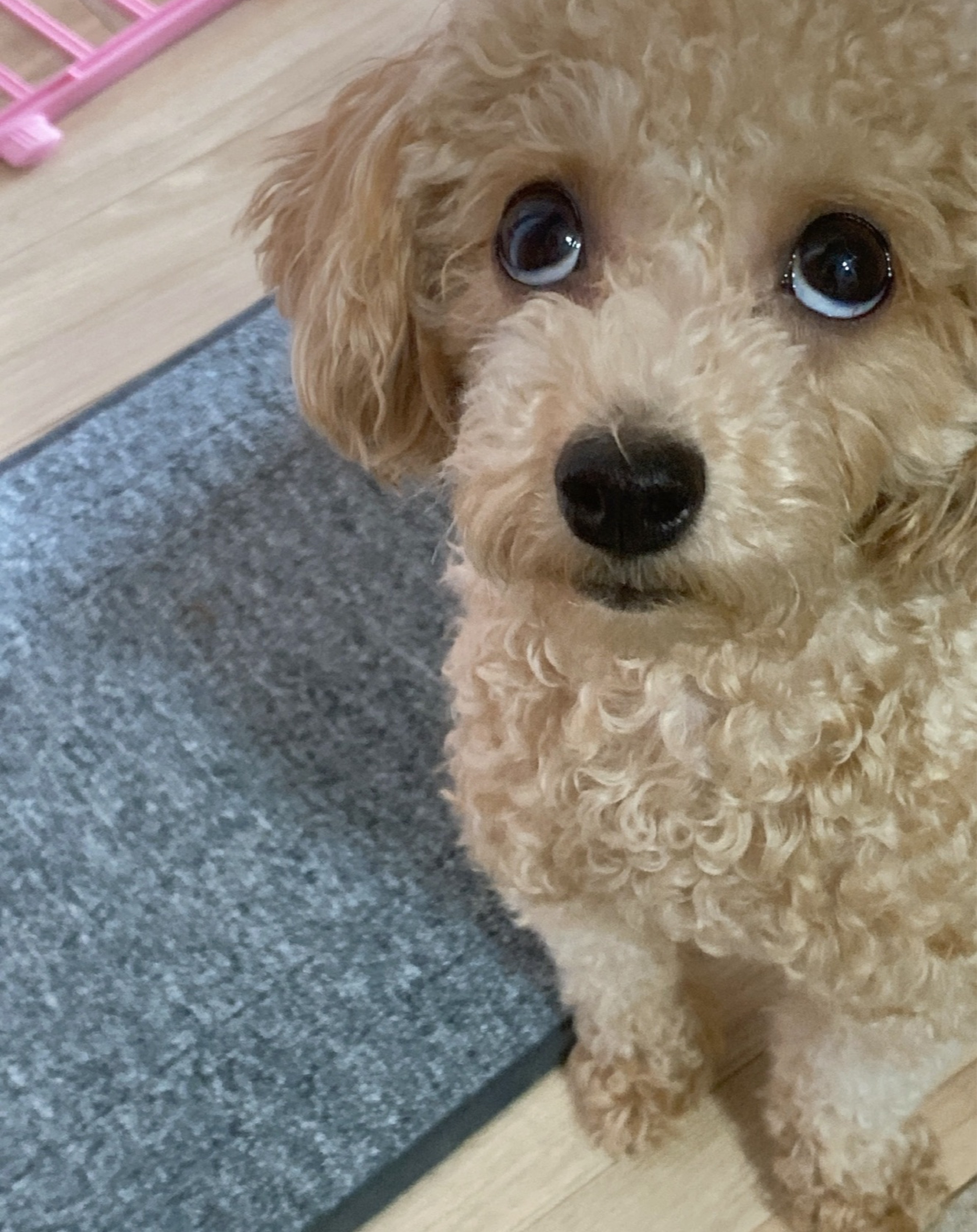 술먹고 집와서 잠방