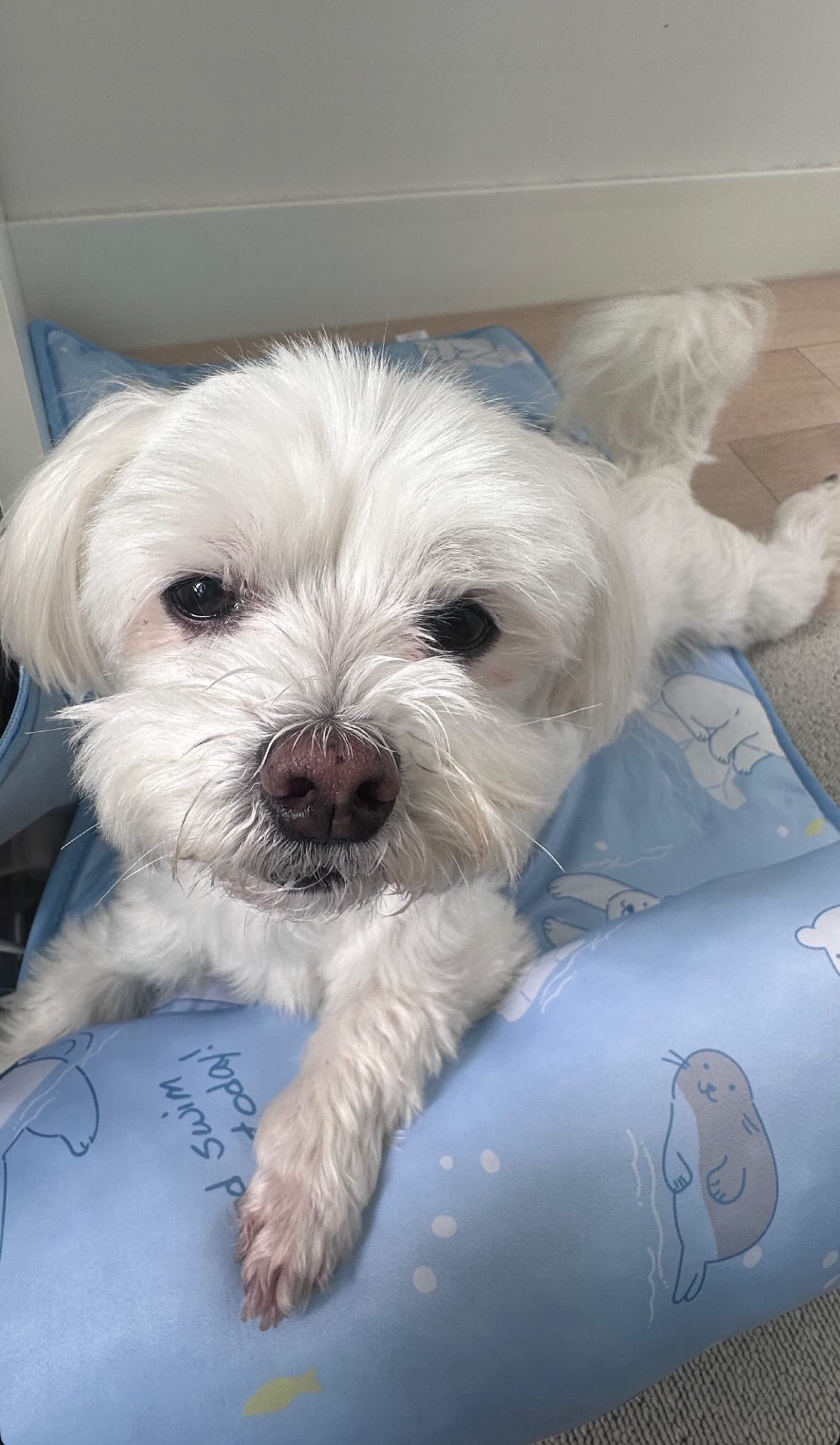 ❤새벽 달달 손개팅❤뉴페환영💯