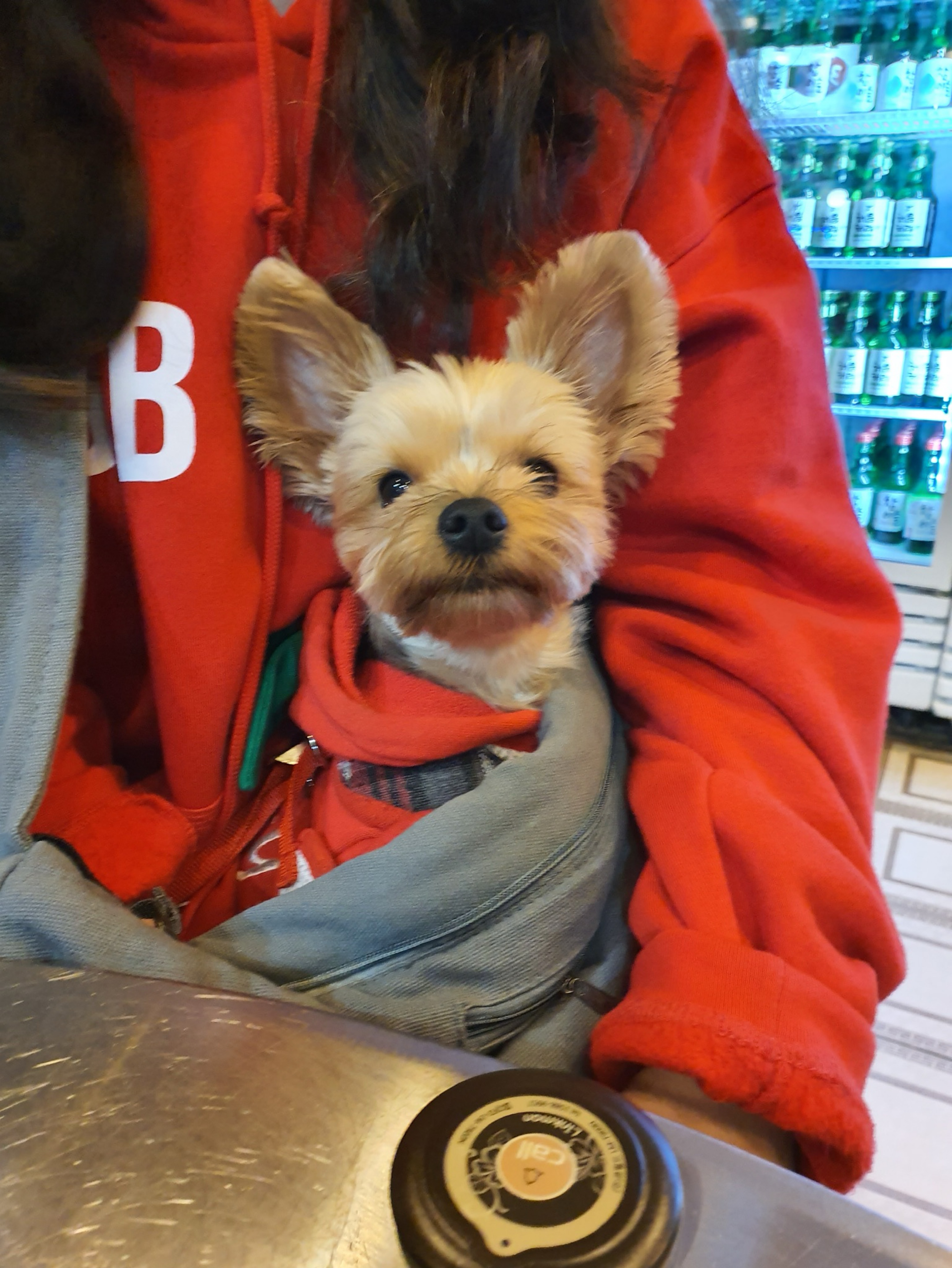 일일 방송인)이오이