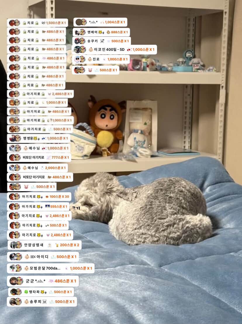 # 소개팅마감 감삼둥