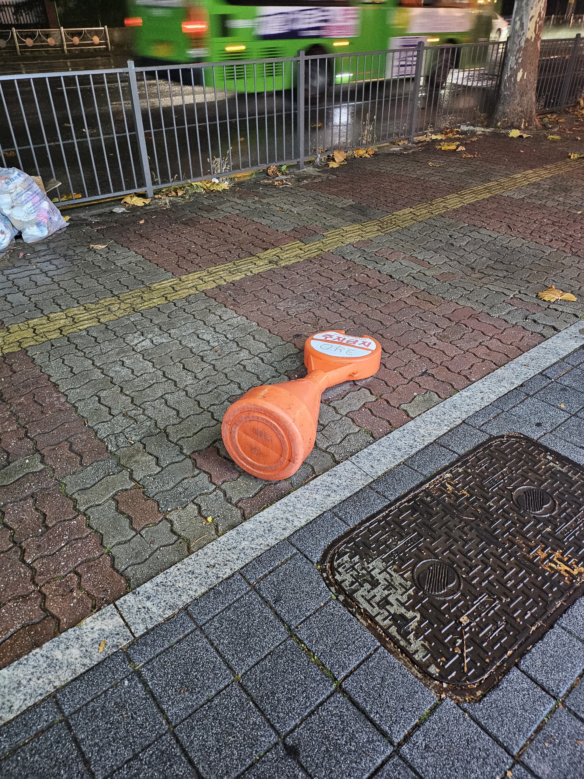 오전7시 많관부 수고했어요