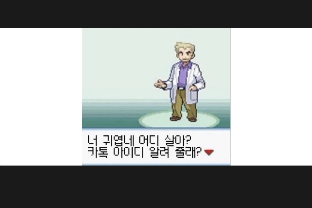 라콜 할래?