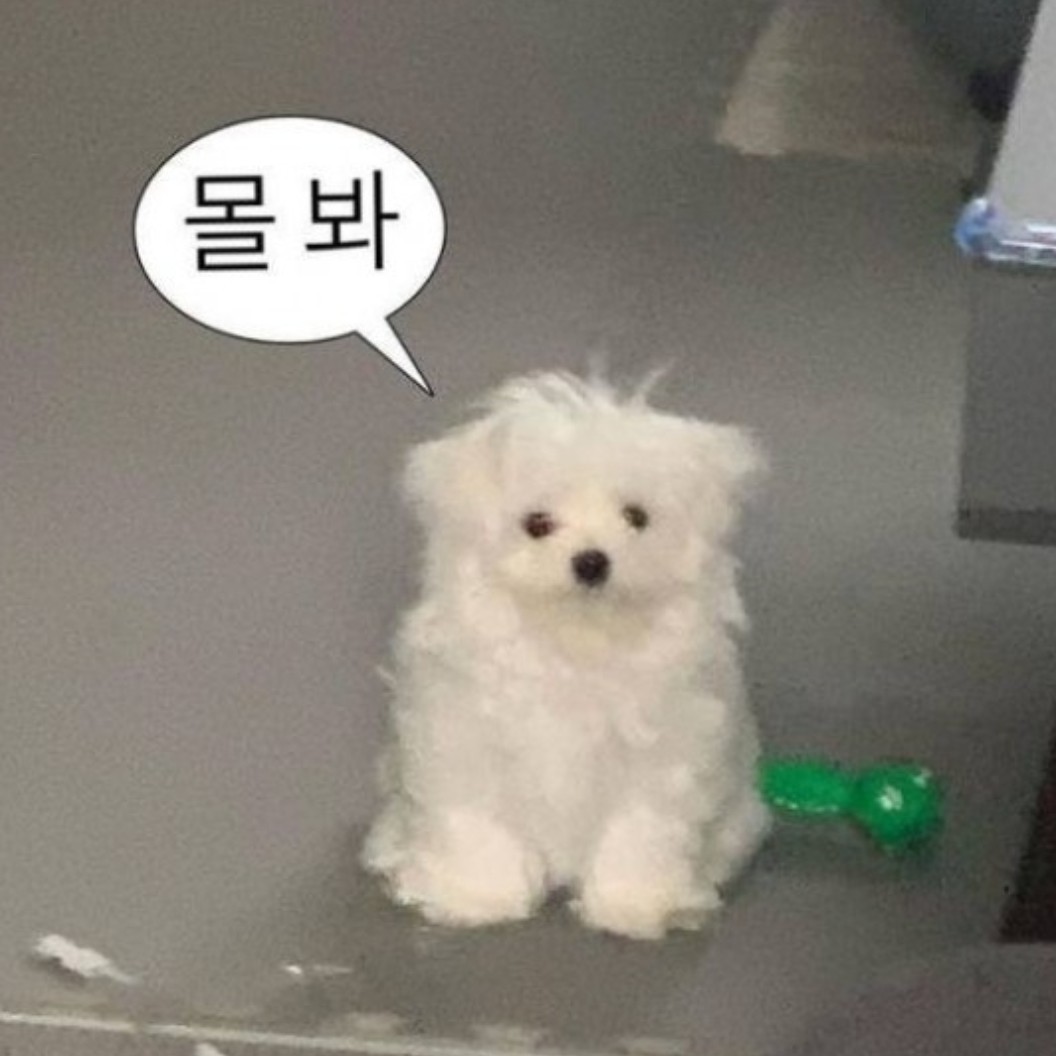 (。•́︿•̀。)