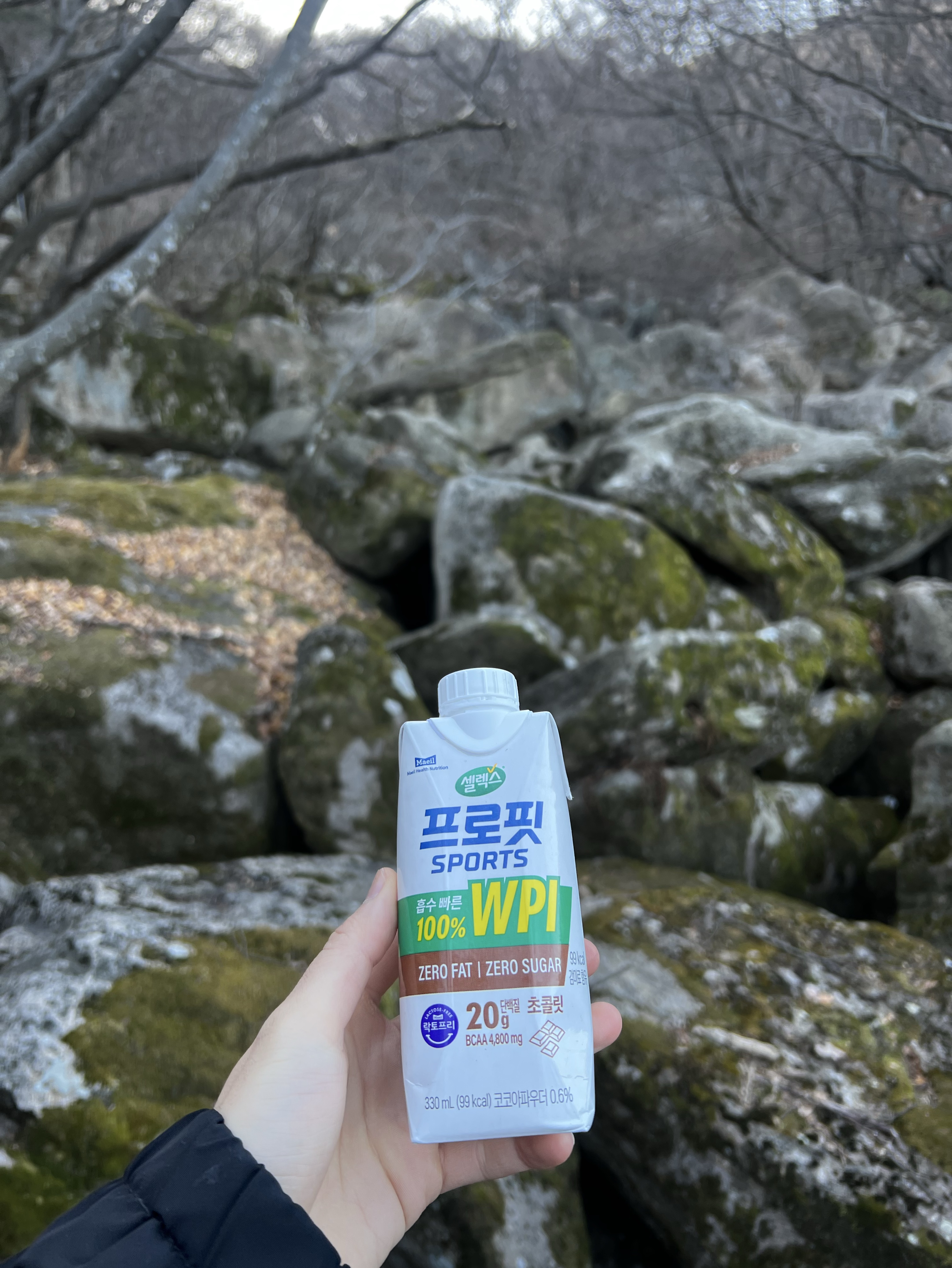 독감3일차에 등산하는 남자