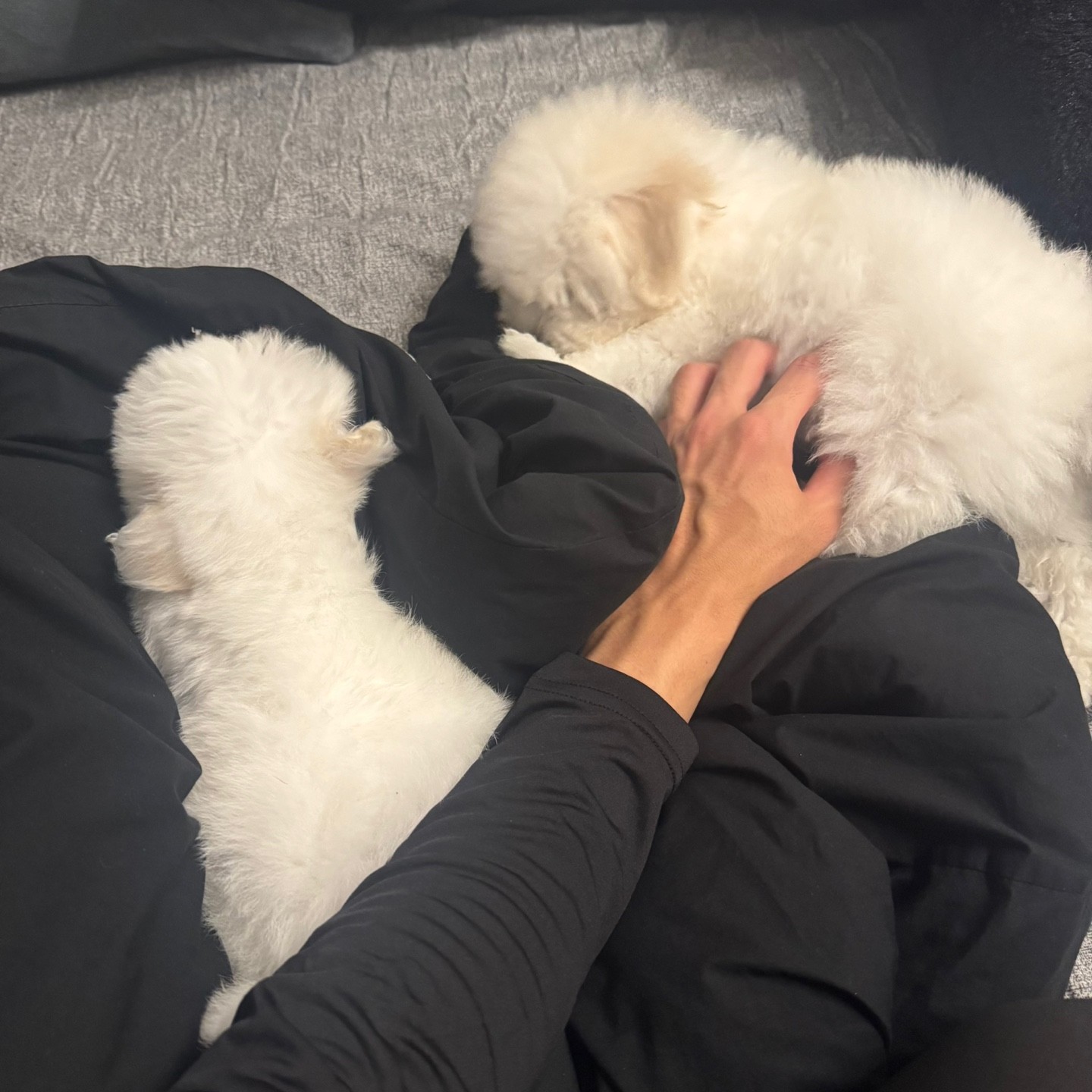 #나 사투리 몬쓴다고!