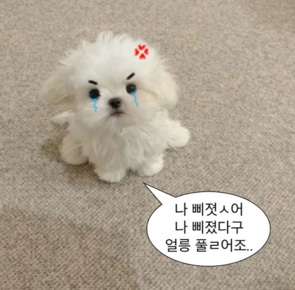 잔잔합니다 ෆ⸒⸒