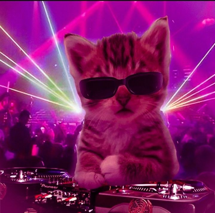 텐션 높은사람만🩷