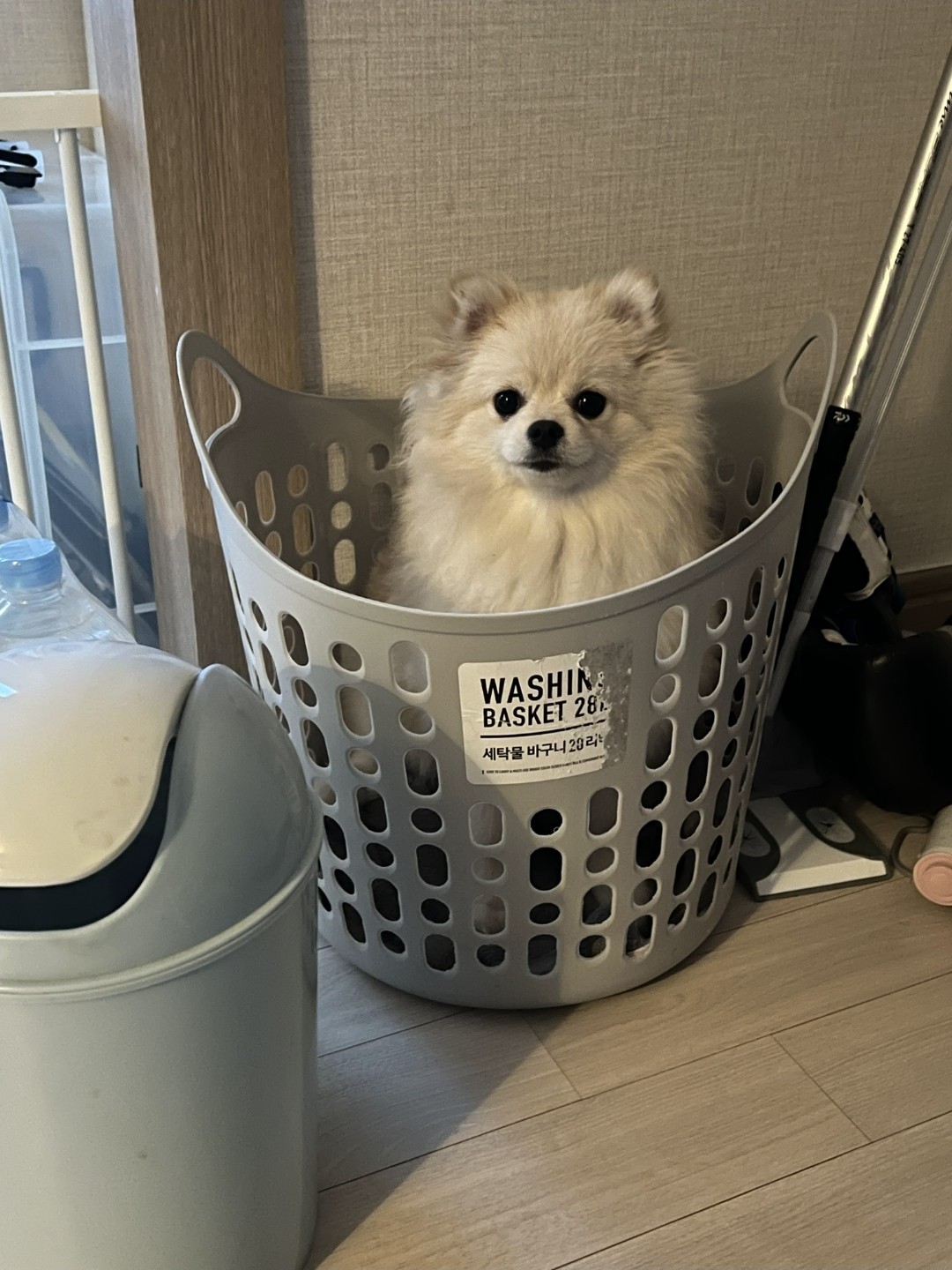 웃다 가면 이긴 방송