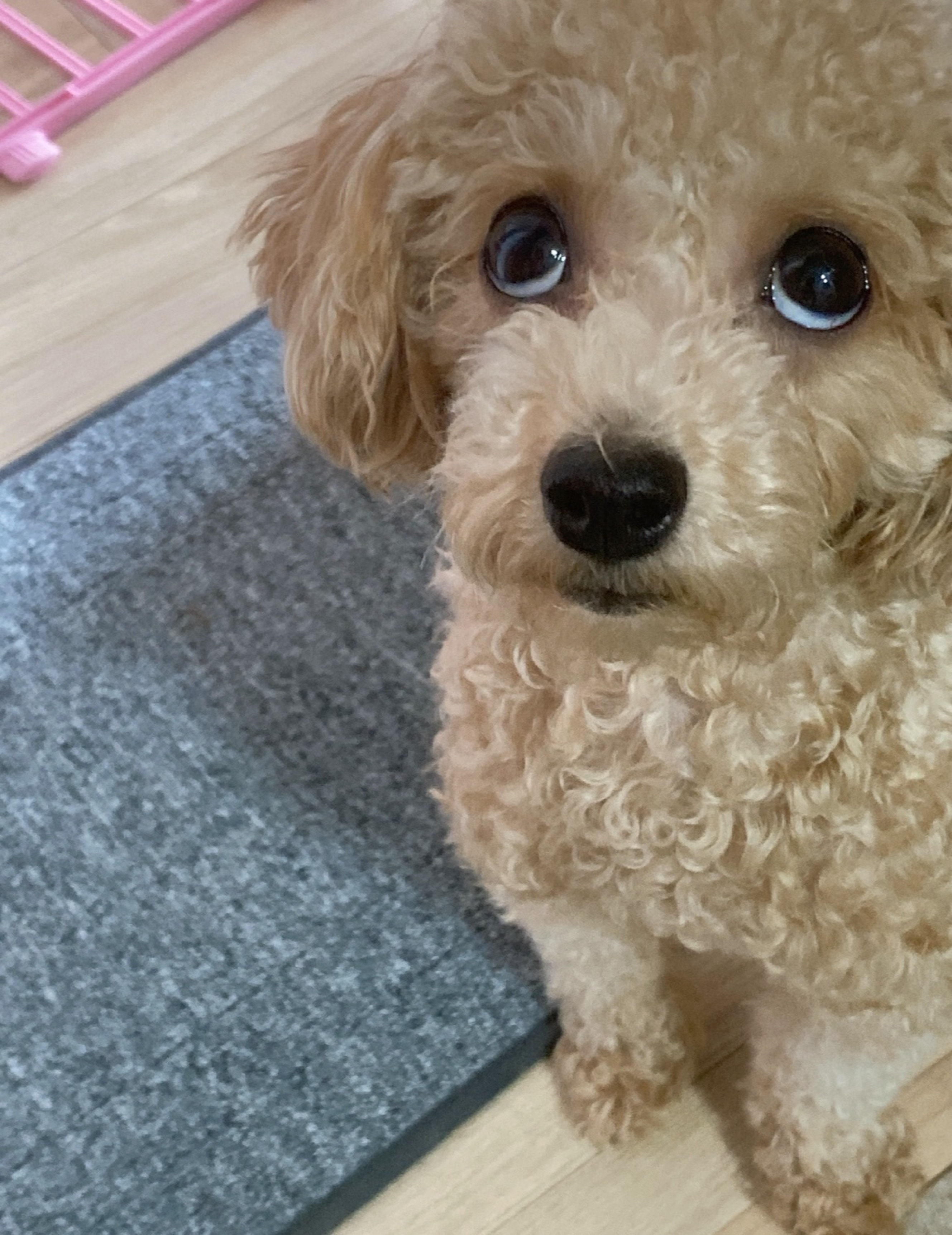 나가기전 잠깐~!